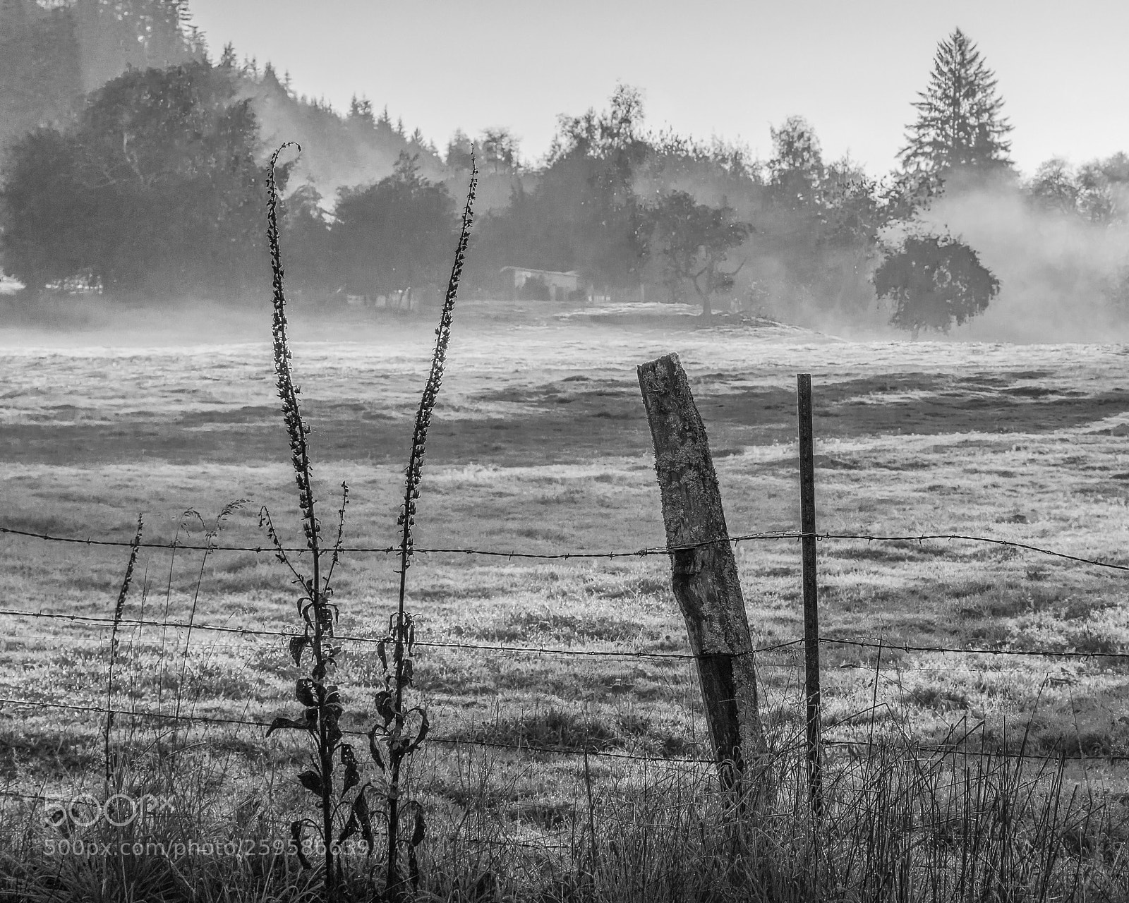 Nikon D7200 sample photo. Morning photography