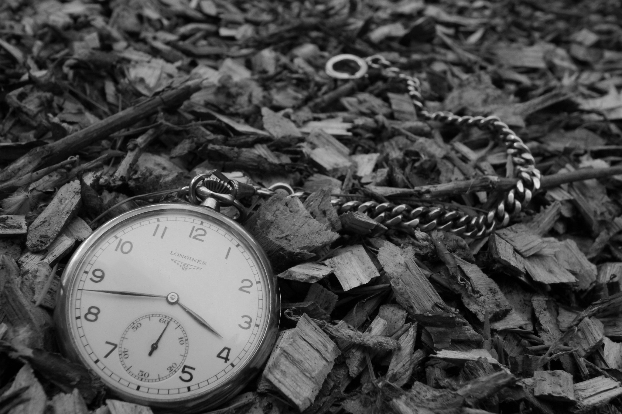 Canon EF-S 10-22mm F3.5-4.5 USM sample photo. Longines photography