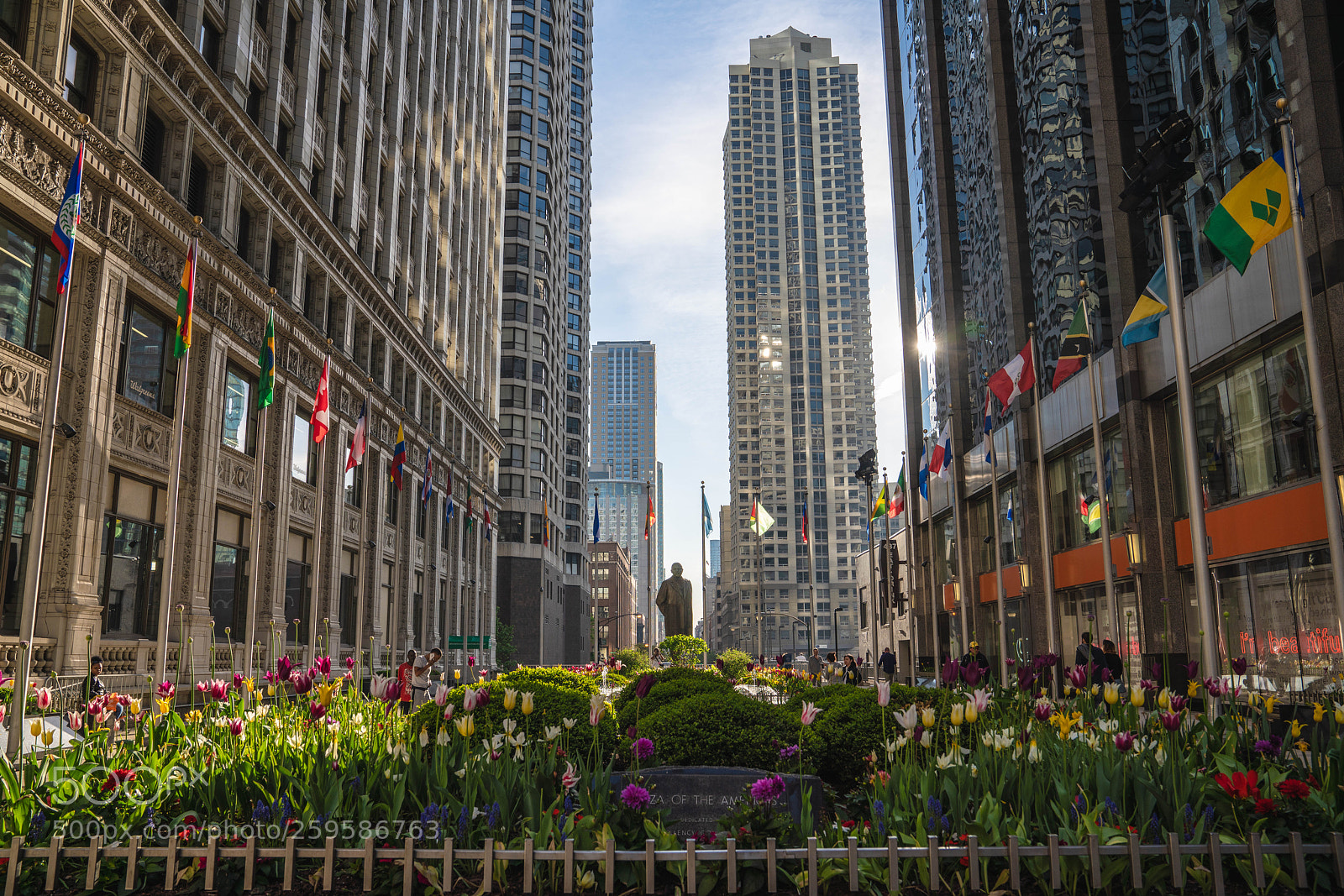 Sony a7R III sample photo. Chicago loop photography