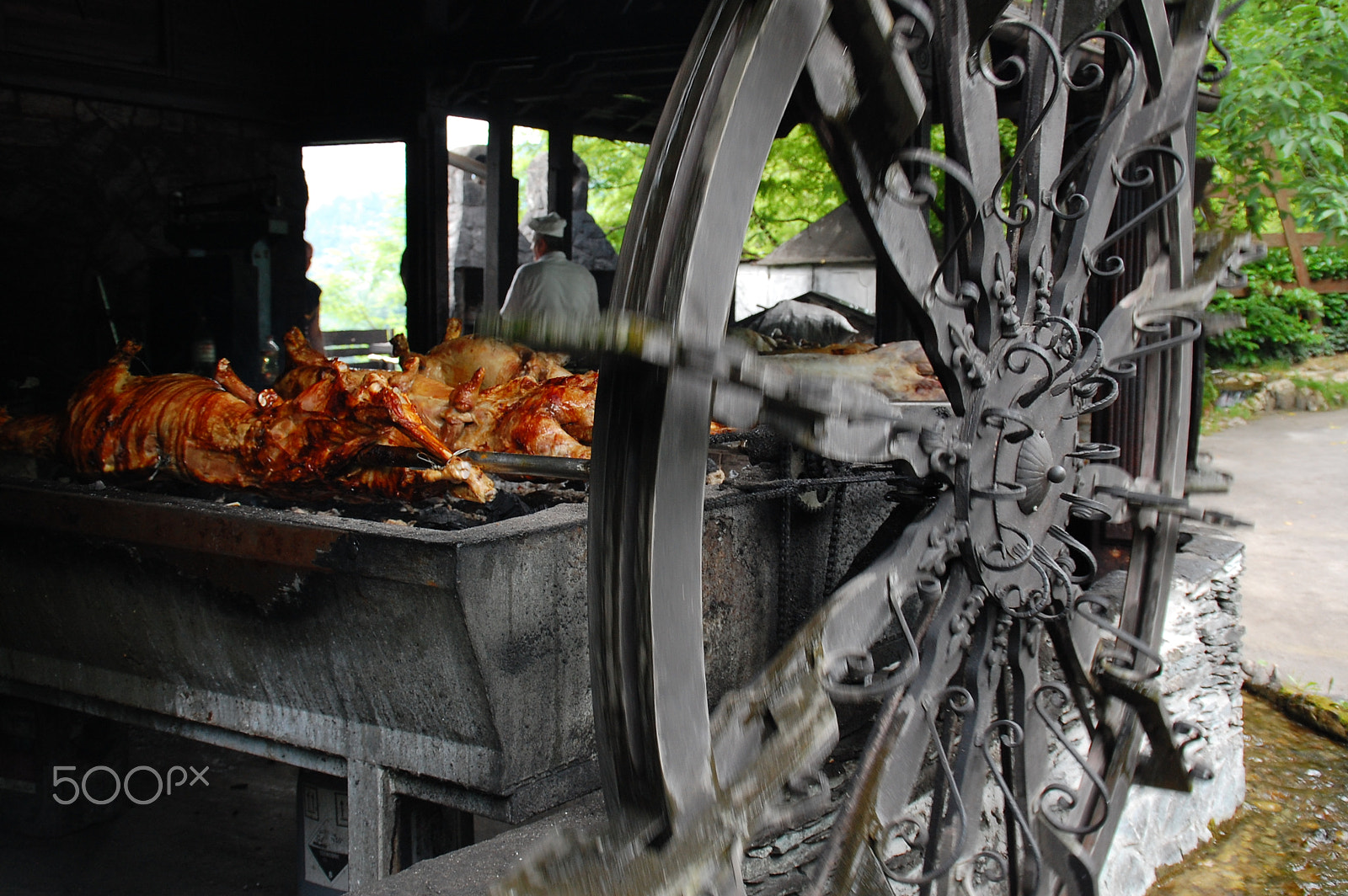 Nikon D40 sample photo. Preparing a grilled lamb photography
