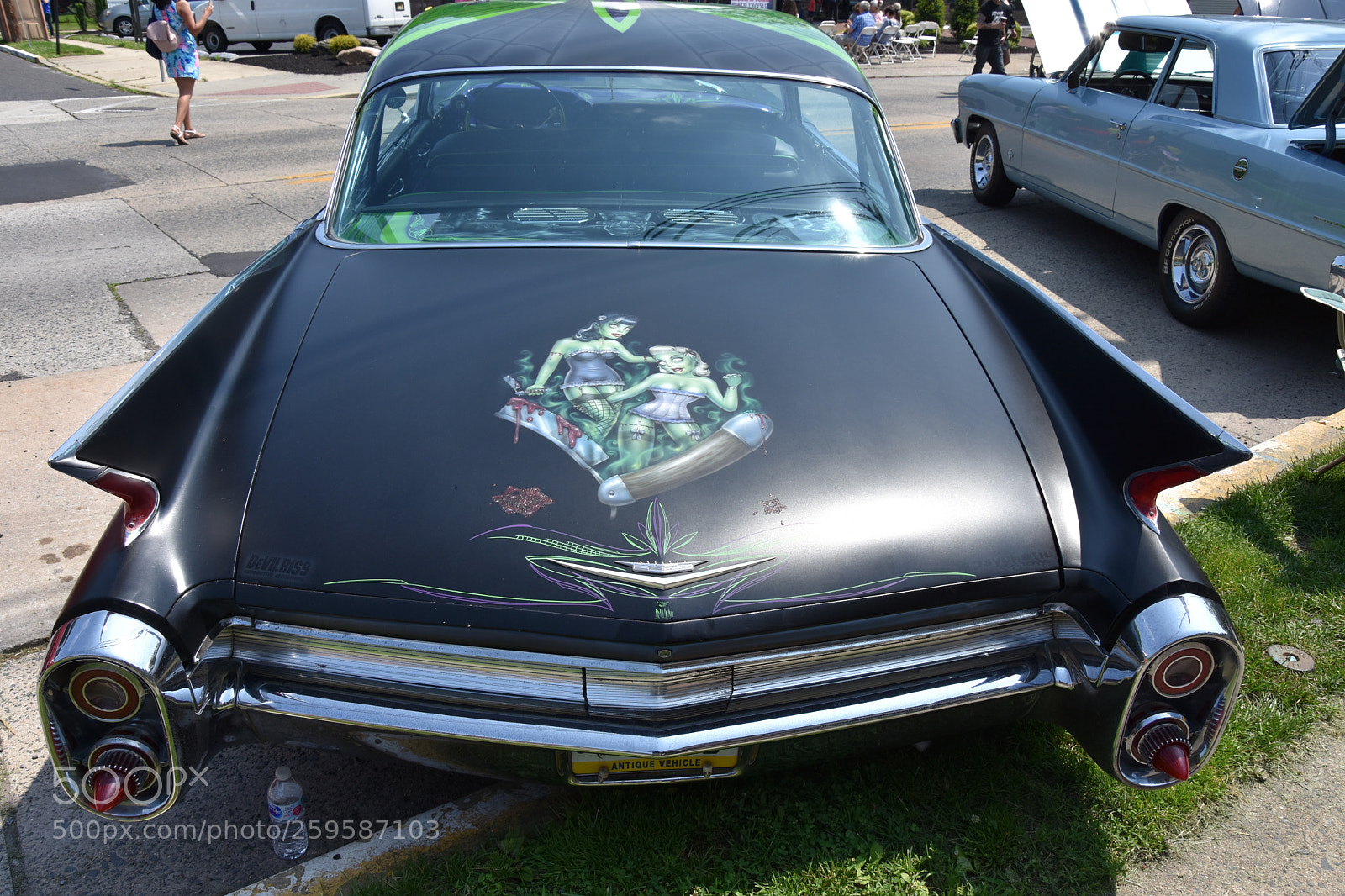 Nikon D7200 sample photo. The pullback
 photography