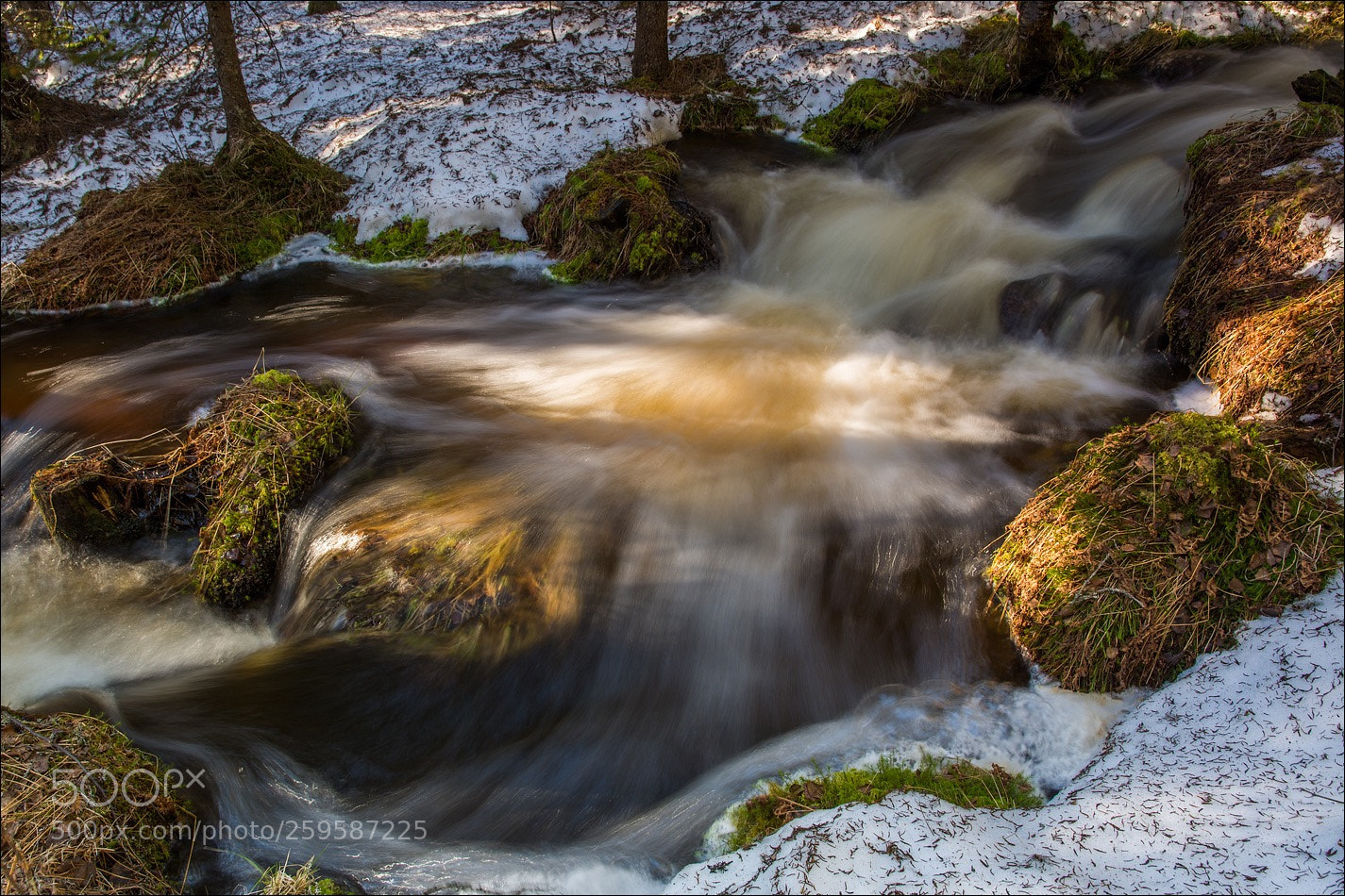Nikon D7100 sample photo. °°° schneeschmelze °°° photography