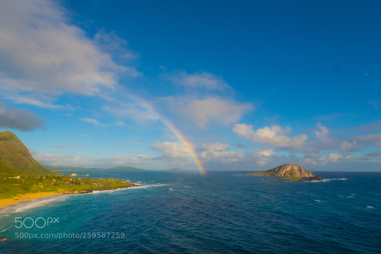 Olympus OM-D E-M5 II sample photo. Aloha! photography