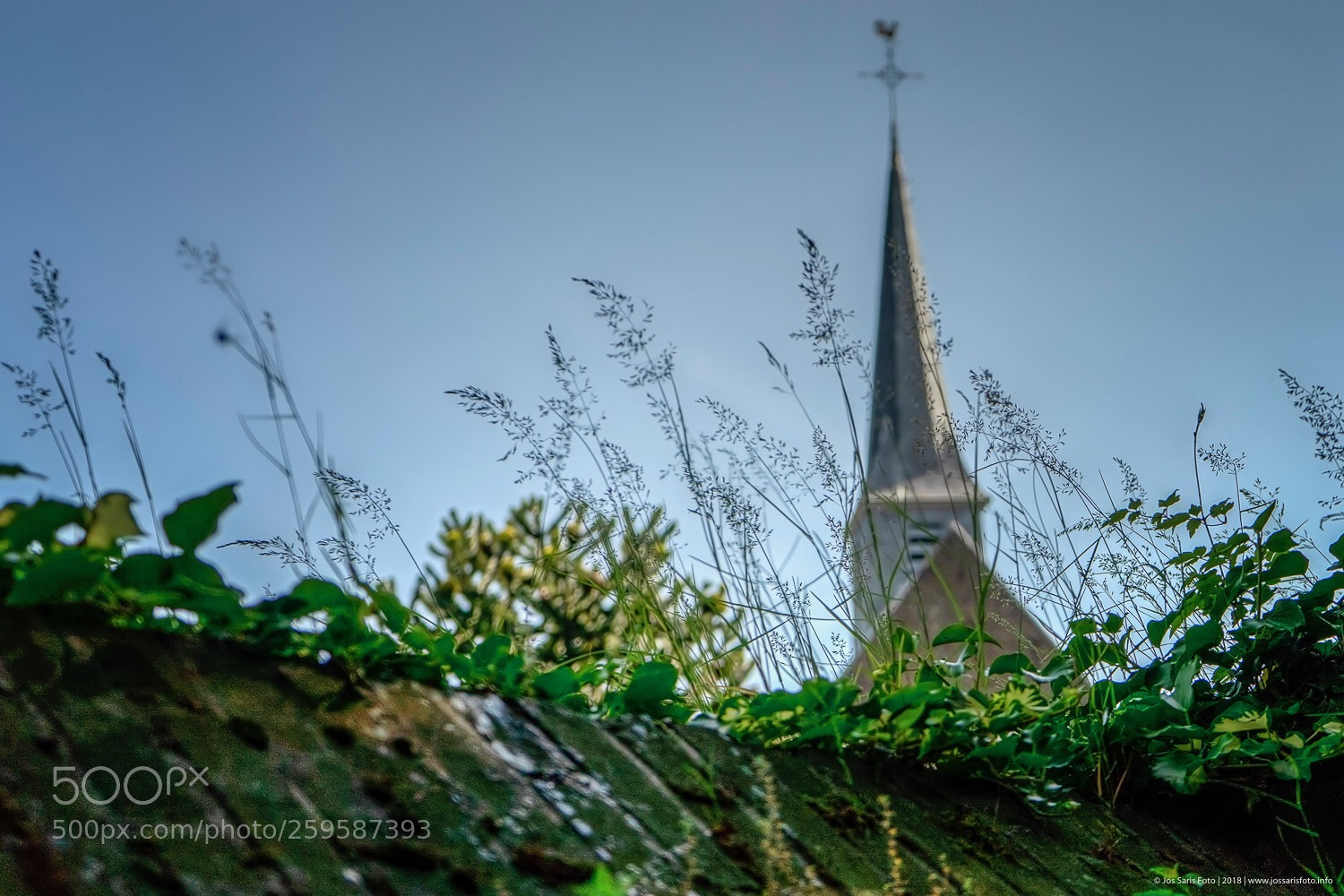 Sony a7 sample photo. #netherlands #sittard photography