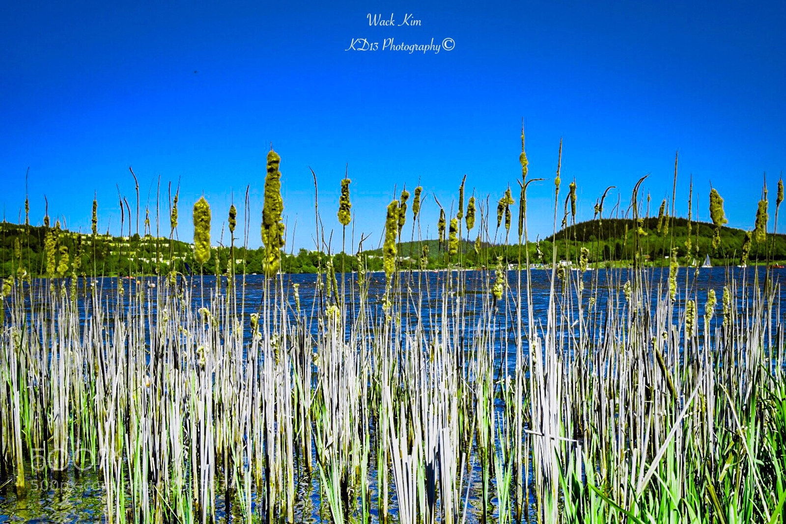Nikon D5300 sample photo. River view photography