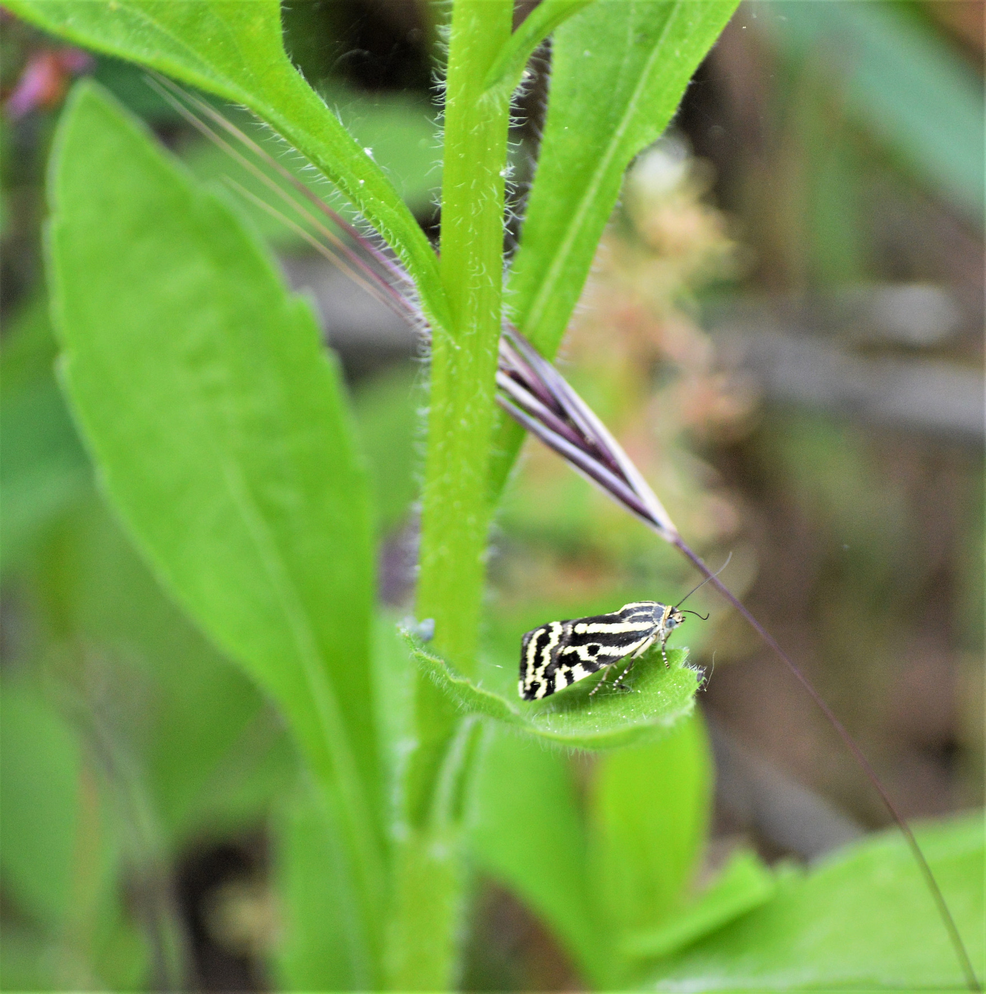 Nikon D3200 sample photo