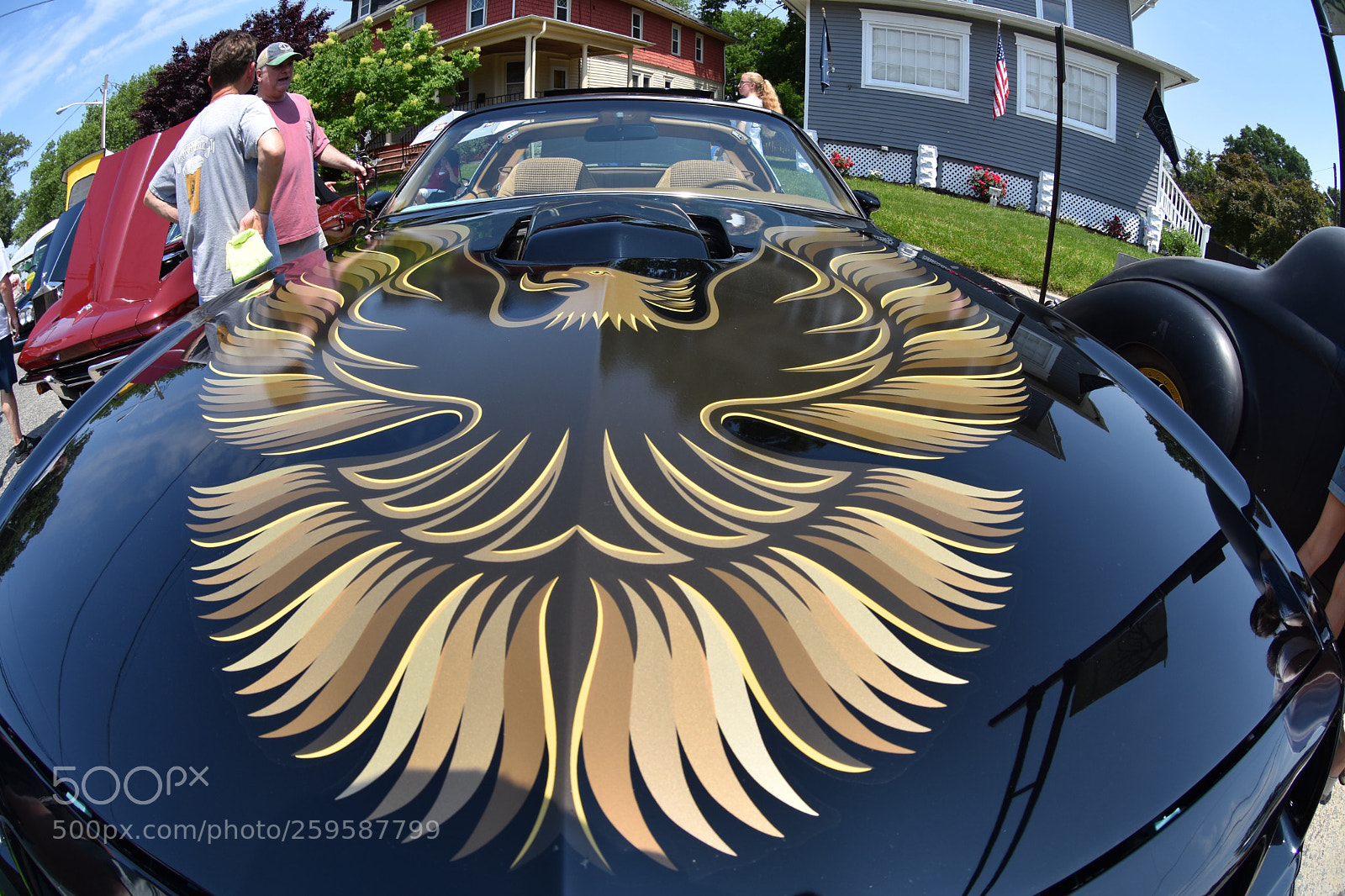 Nikon D7200 sample photo. Firebird!   (or trans am?) photography