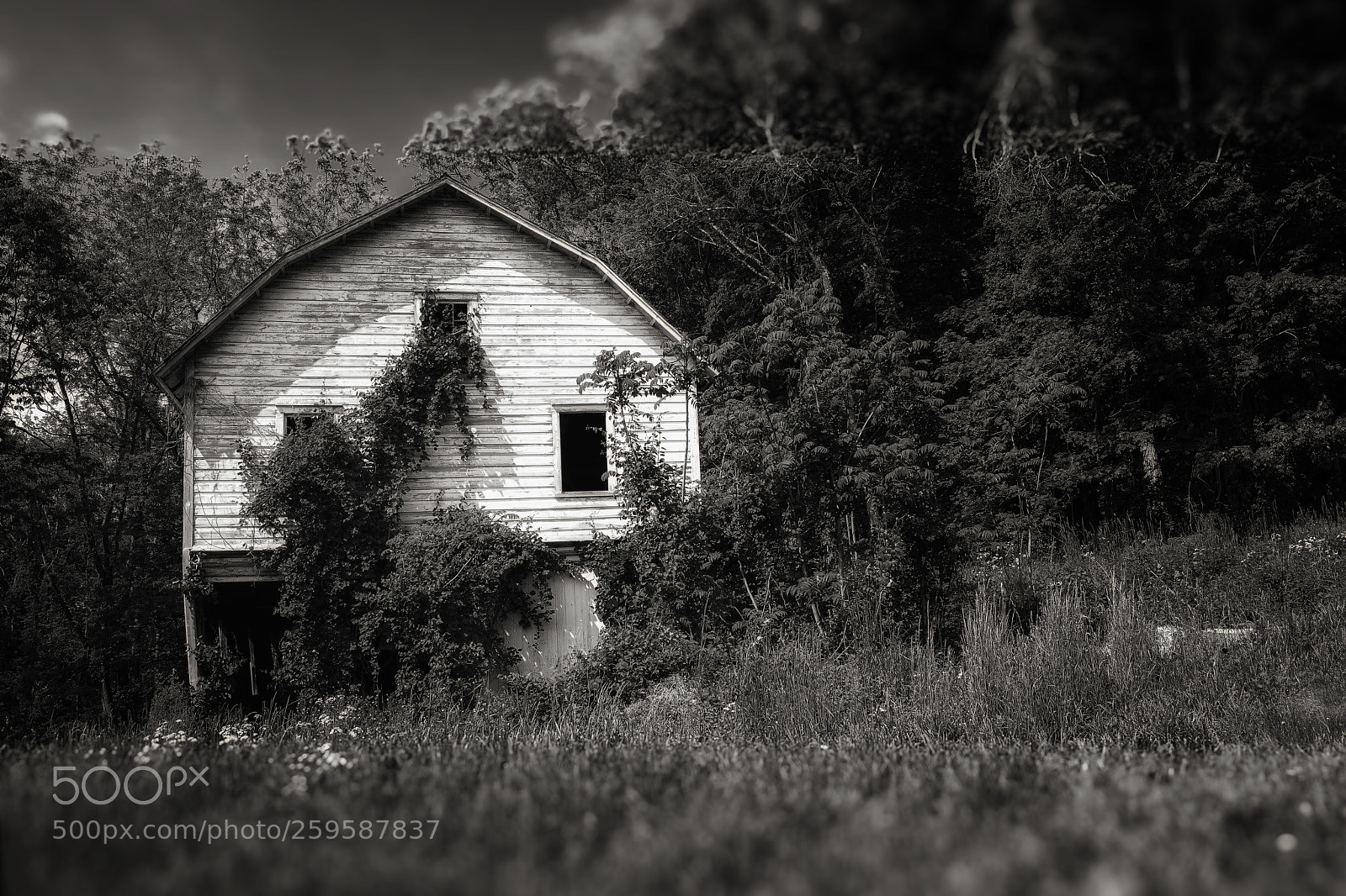 Canon EOS 5DS sample photo. Broadhead farm photography