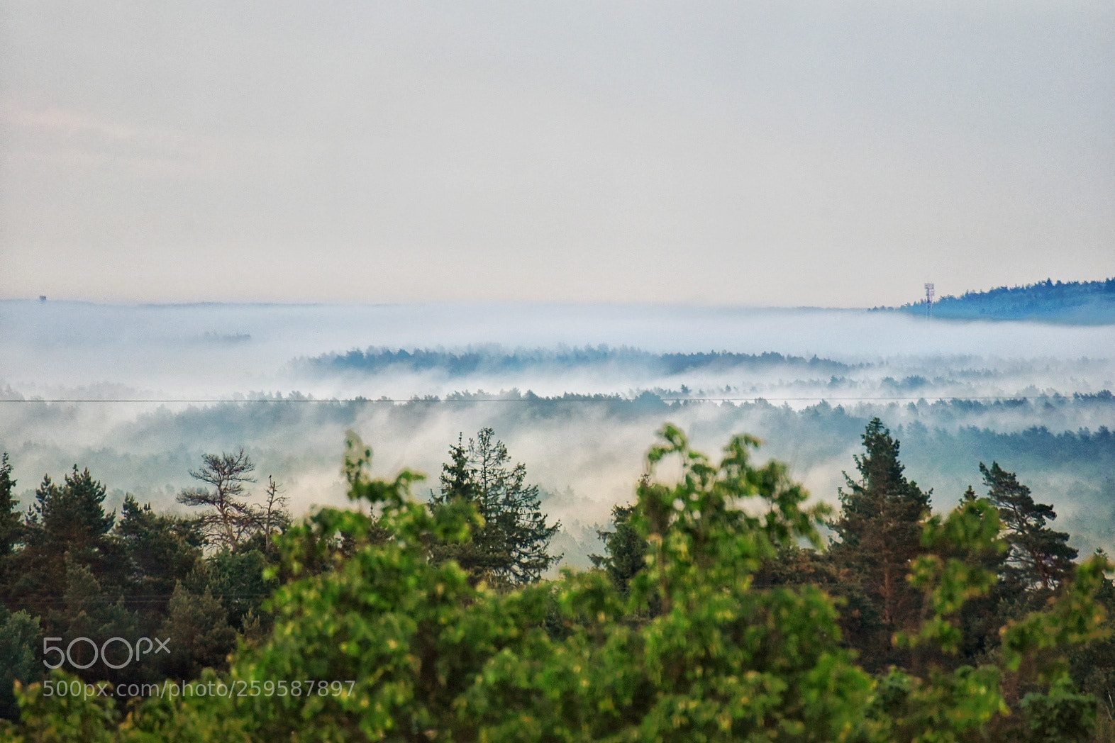 Nikon D750 sample photo. Fog,,, photography