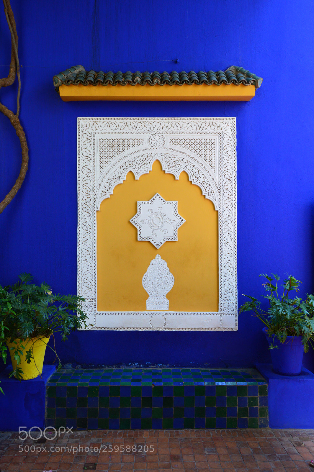 Nikon D3200 sample photo. Bench in majorelle s photography