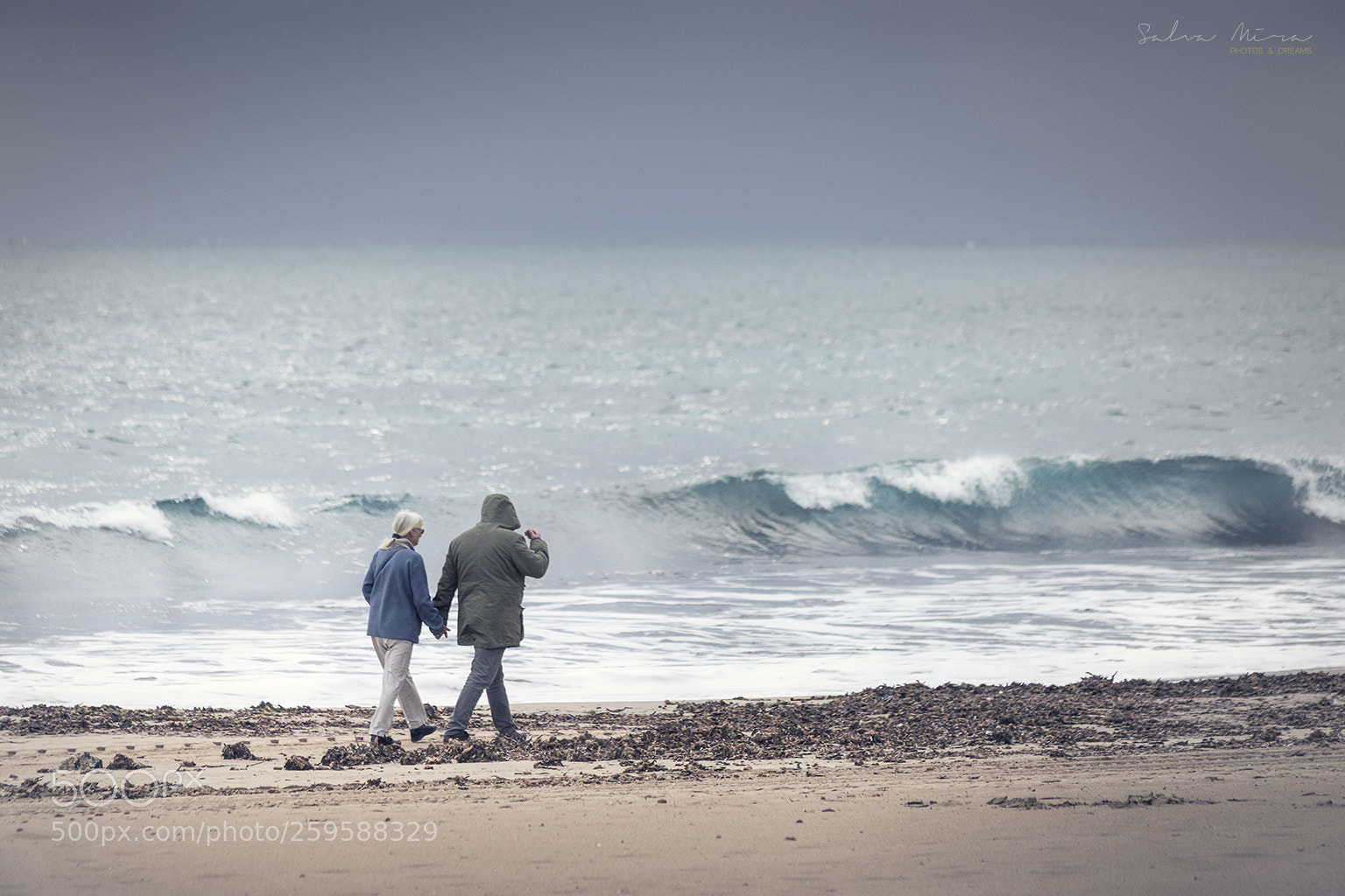 Sony a7 II sample photo. A pleasant winter walk photography