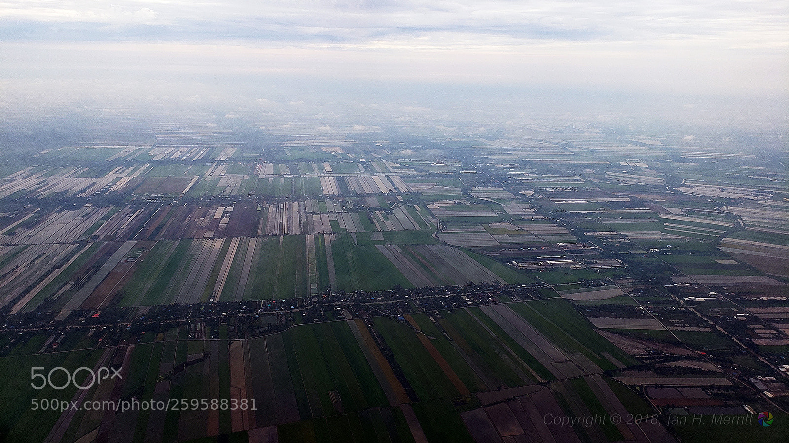 Samsung Galaxy S9 sample photo. Industrial scale rice production photography