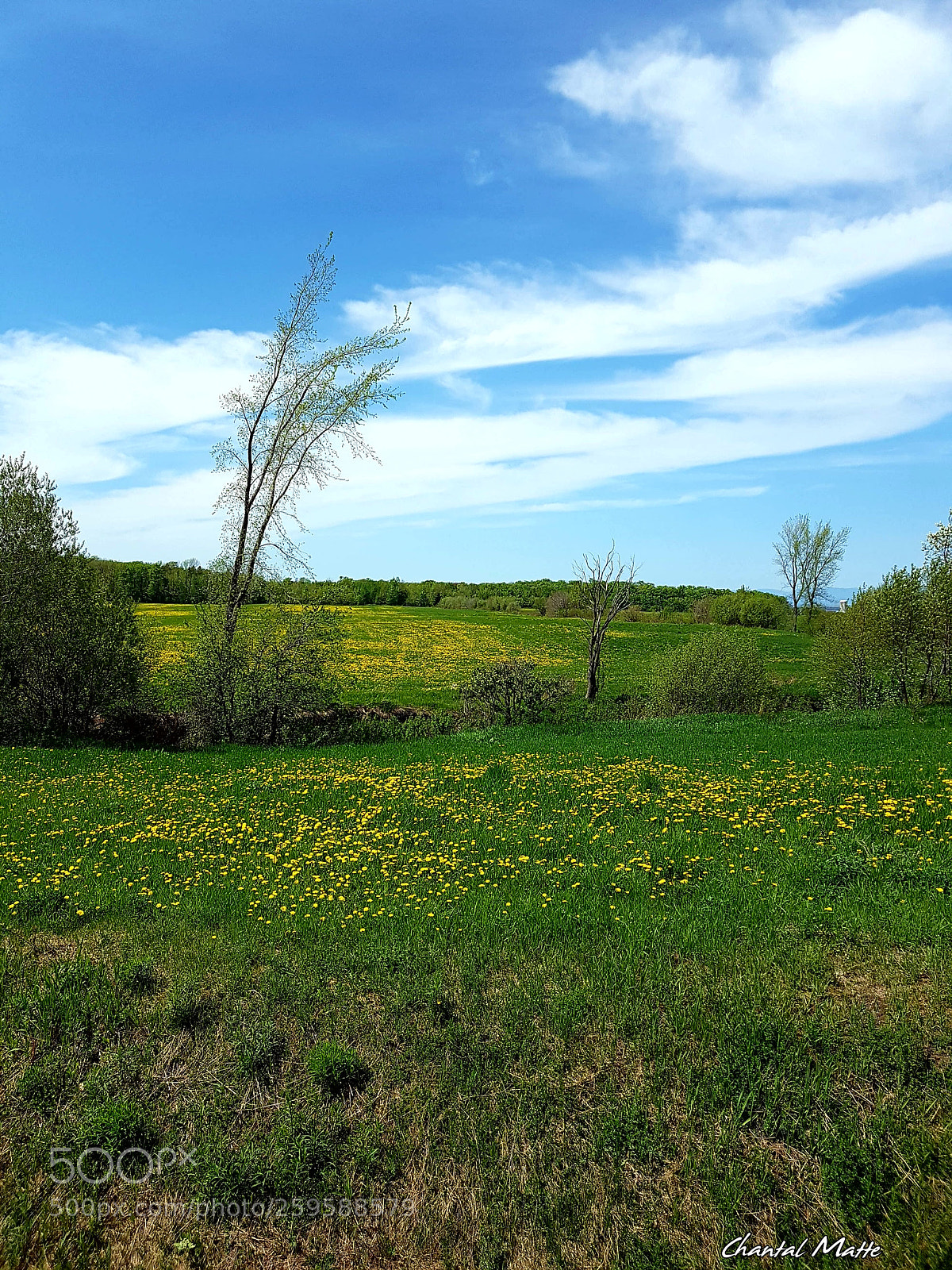 Samsung Galaxy S7 sample photo. Rural#2 photography