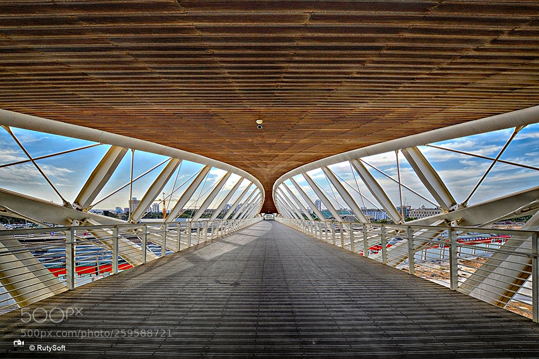 Nikon D3200 sample photo. Bridge photography