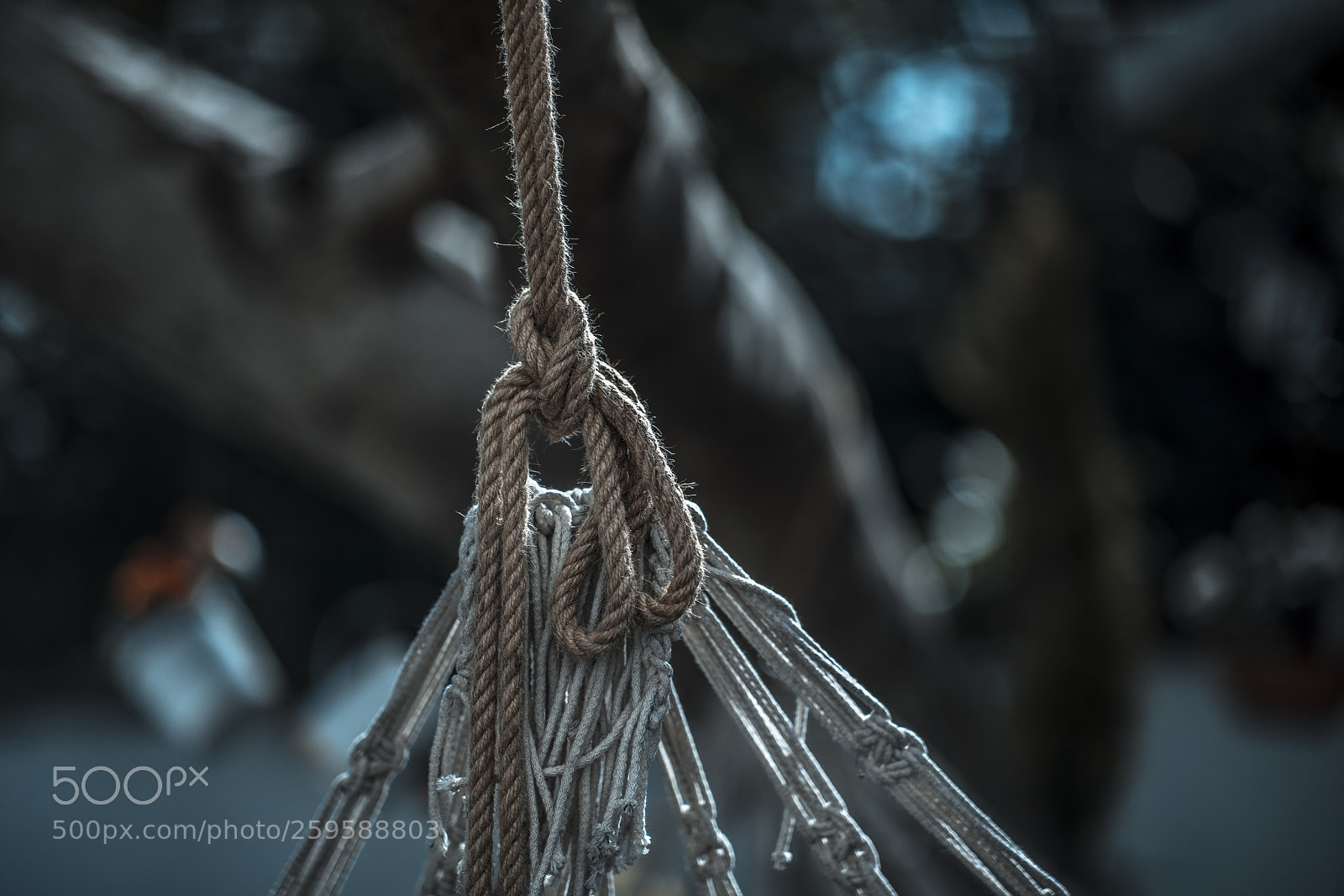 Sony a7R II sample photo. Hammock photography