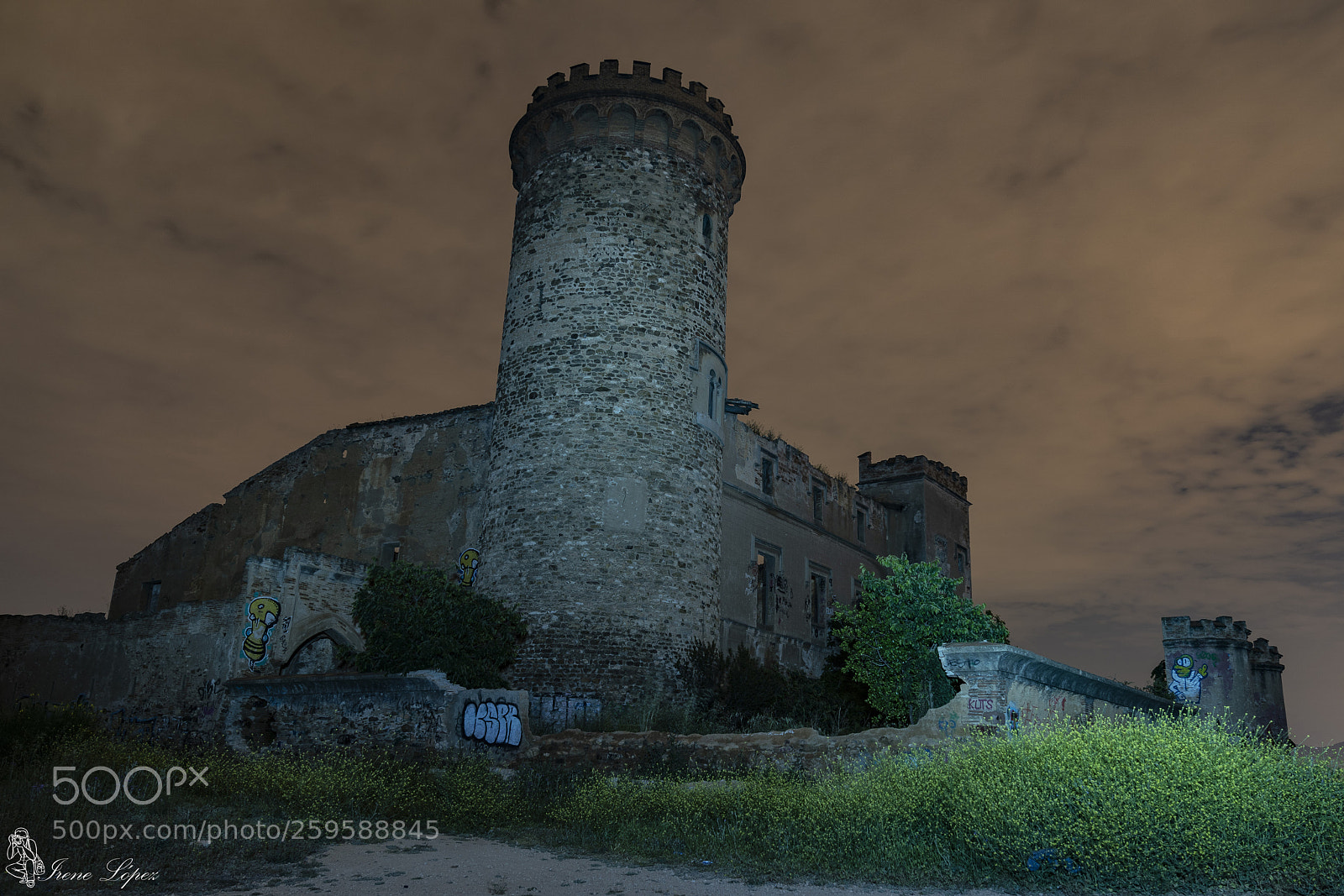 Sony a7 III sample photo. Torre salvana photography