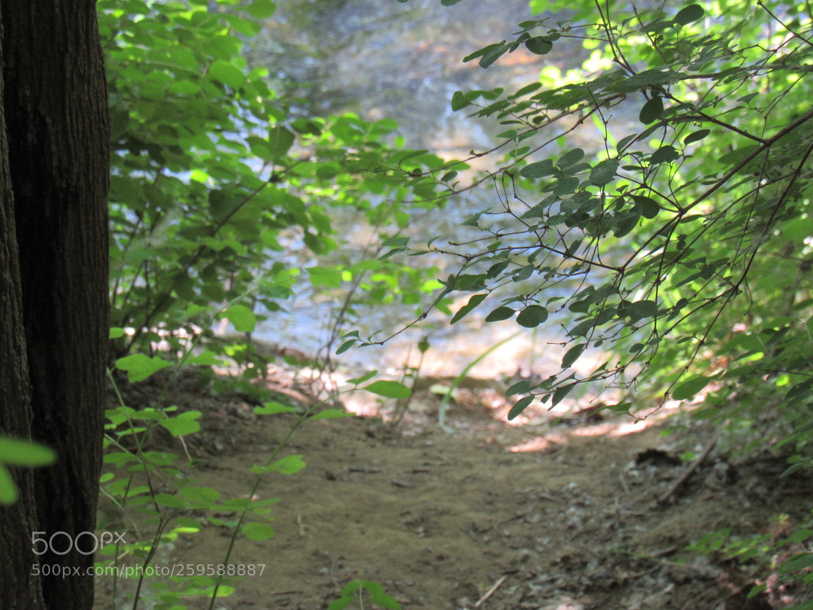 Canon PowerShot SX530 HS sample photo. Trails photography