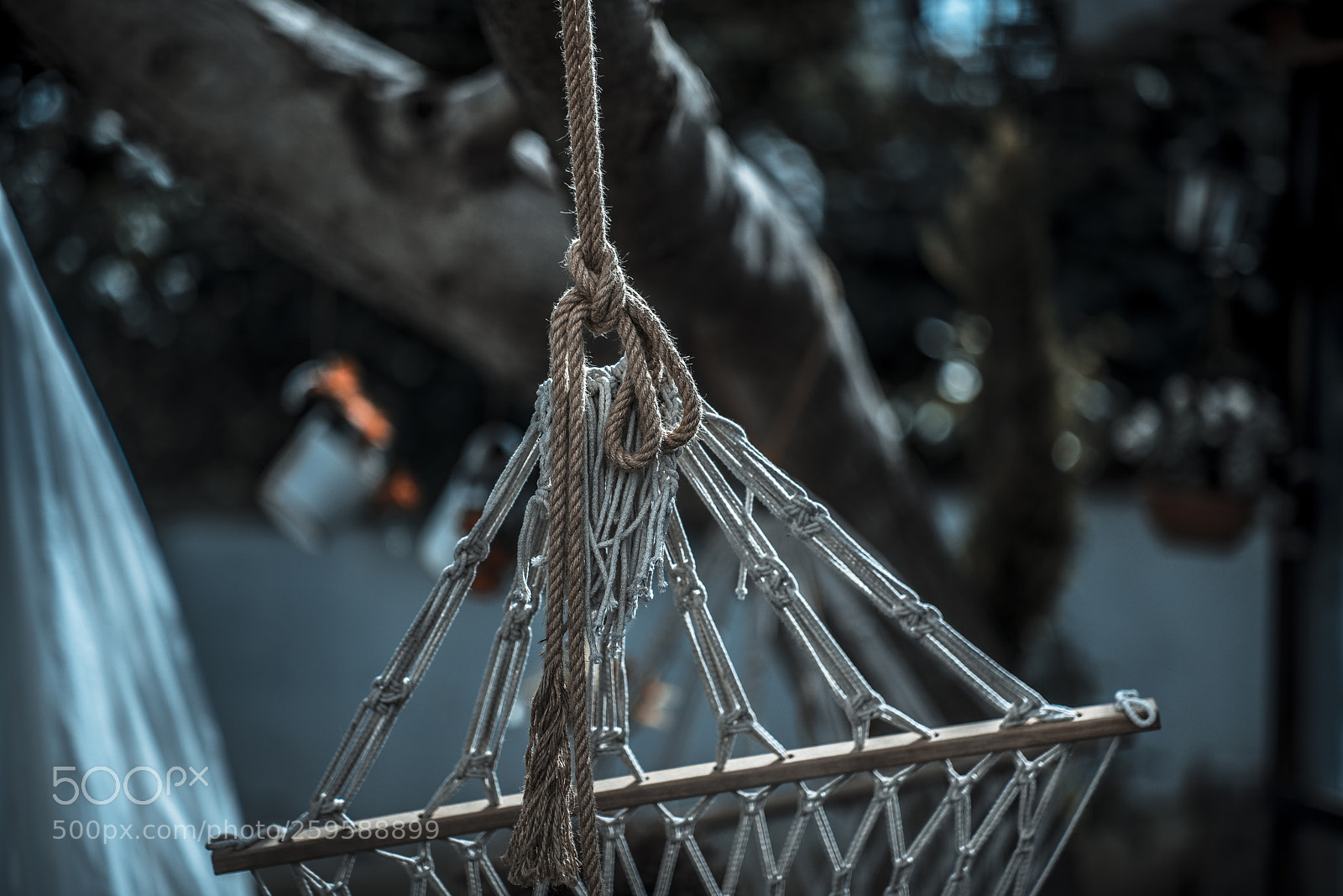 Sony a7R II sample photo. Hammock photography