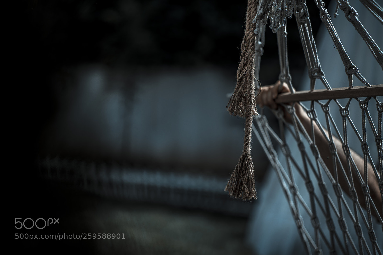 Sony a7R II sample photo. Hammock photography