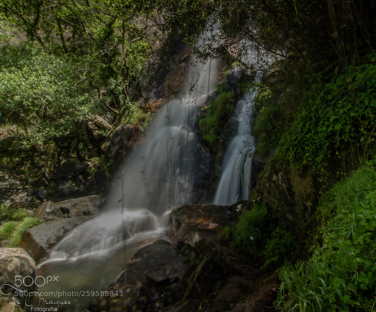 Nikon D7200 sample photo. Feel the water photography