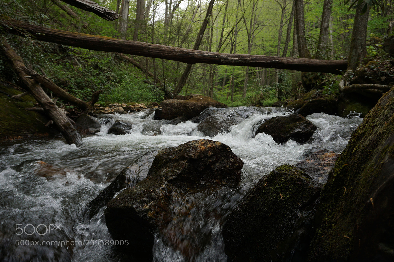 Sony a6000 sample photo. Rapid liquid photography