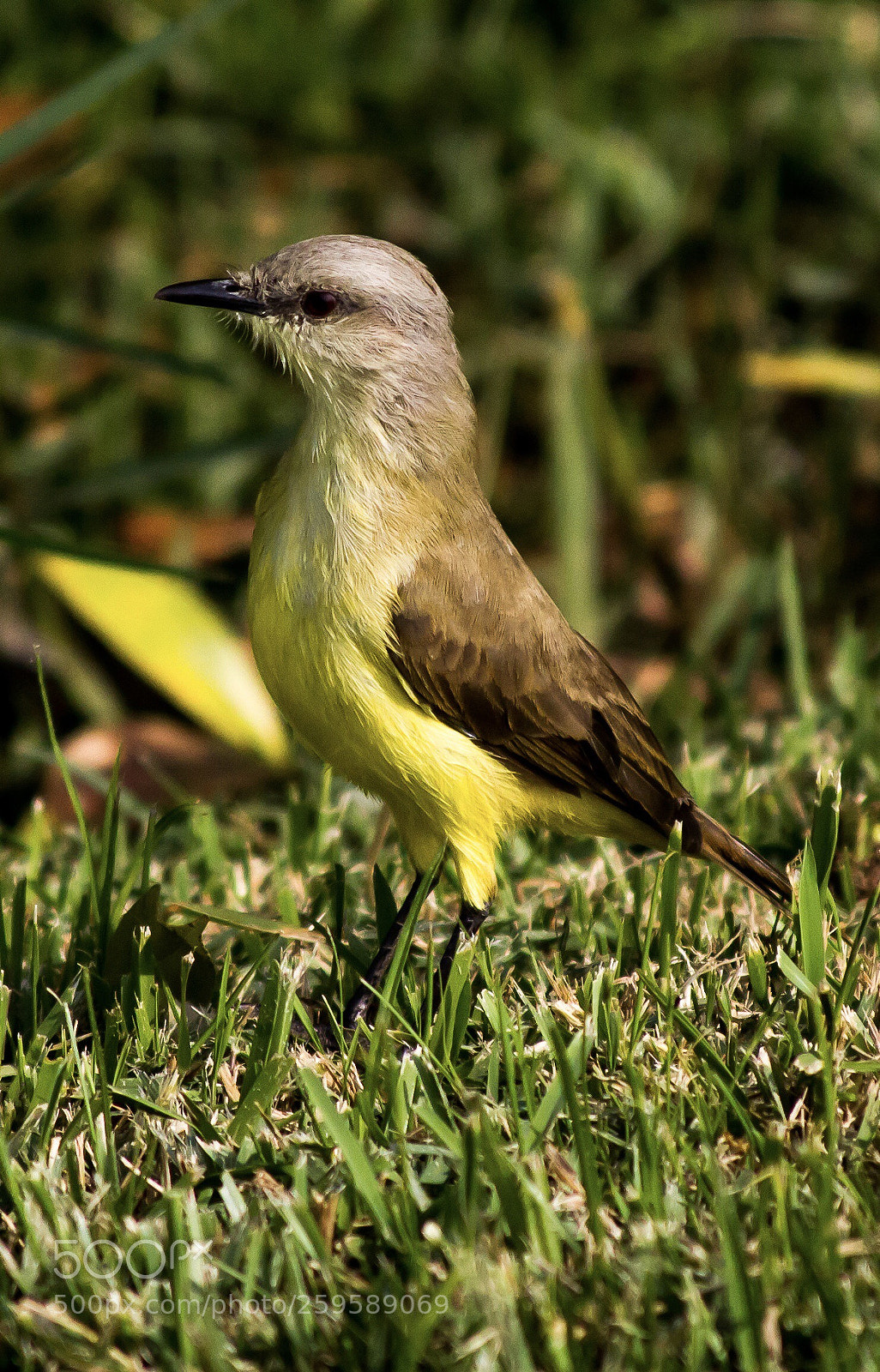 Canon EOS 7D sample photo. Nature vibes photography