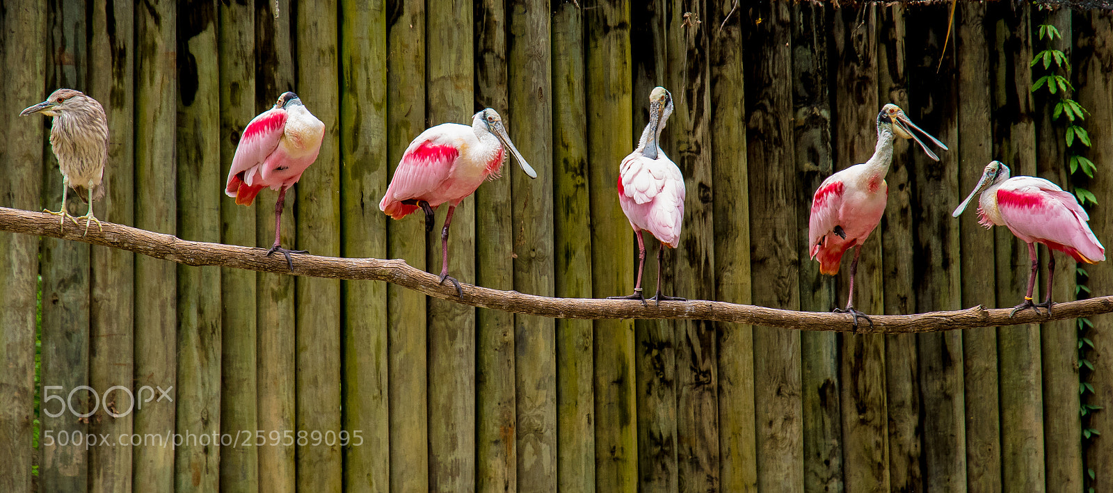 Nikon D810 sample photo. Untitled photography
