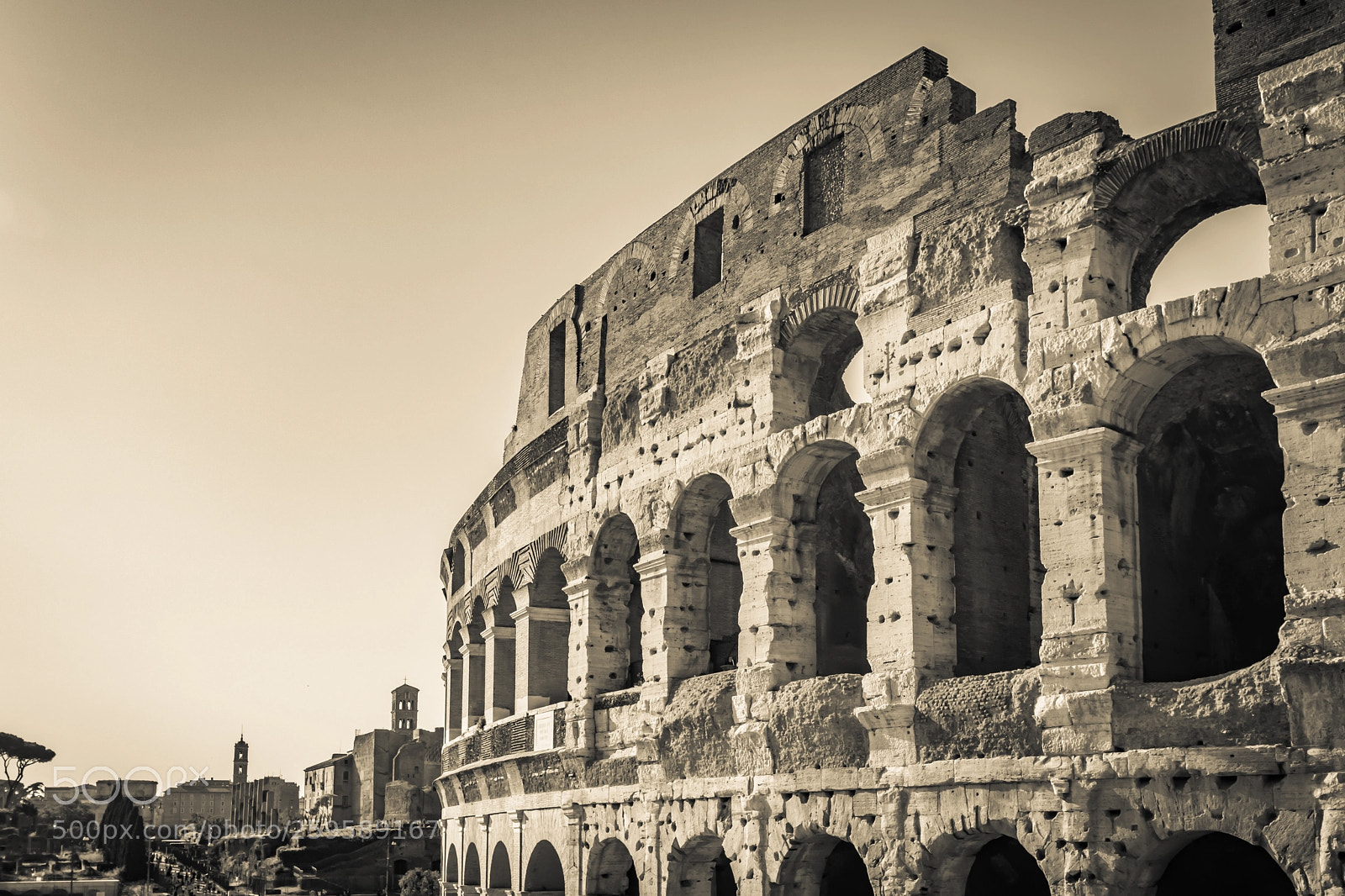 Canon EOS 80D sample photo. Rome colosseum ruins photography