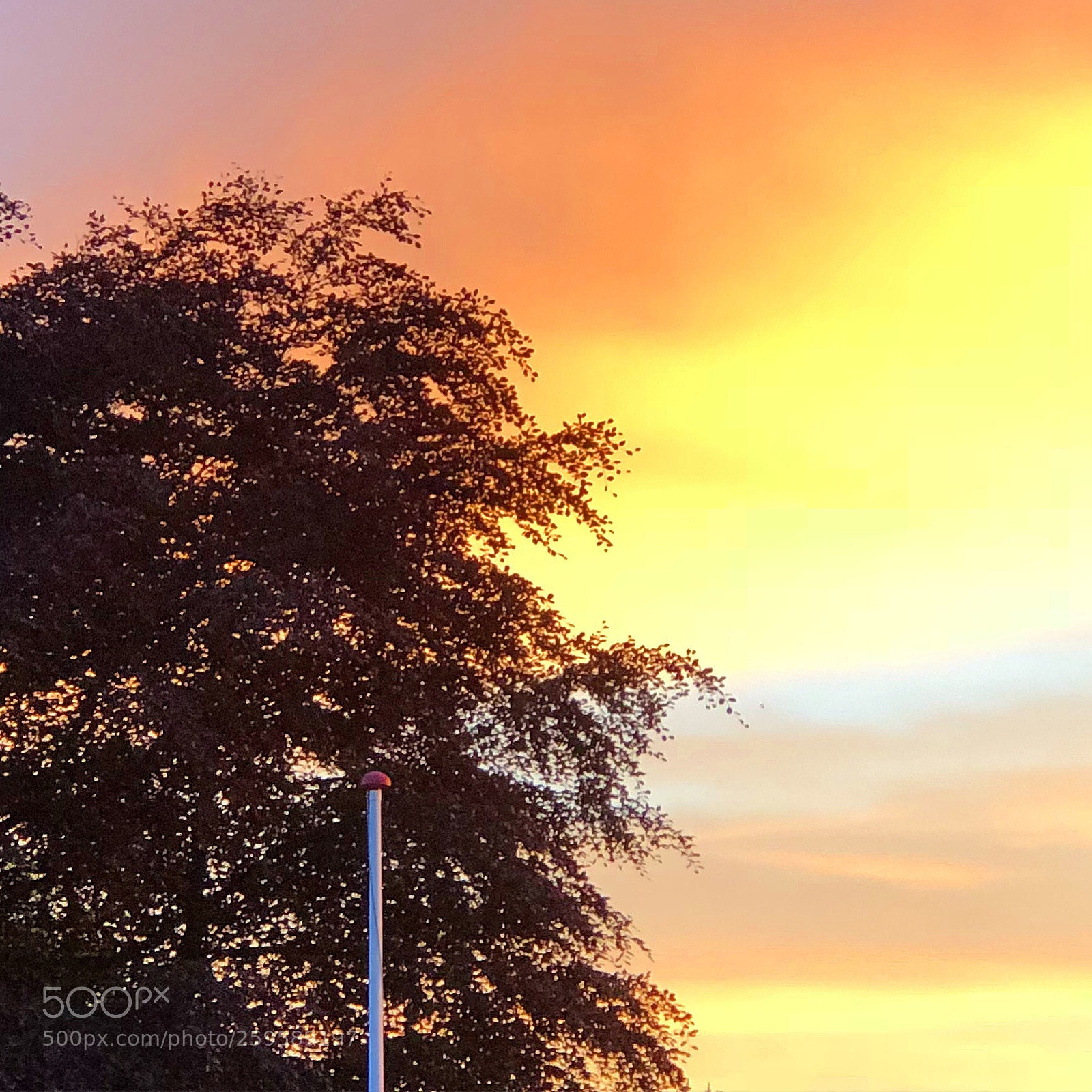 Apple iPhone 8 Plus sample photo. Sun is setting photography