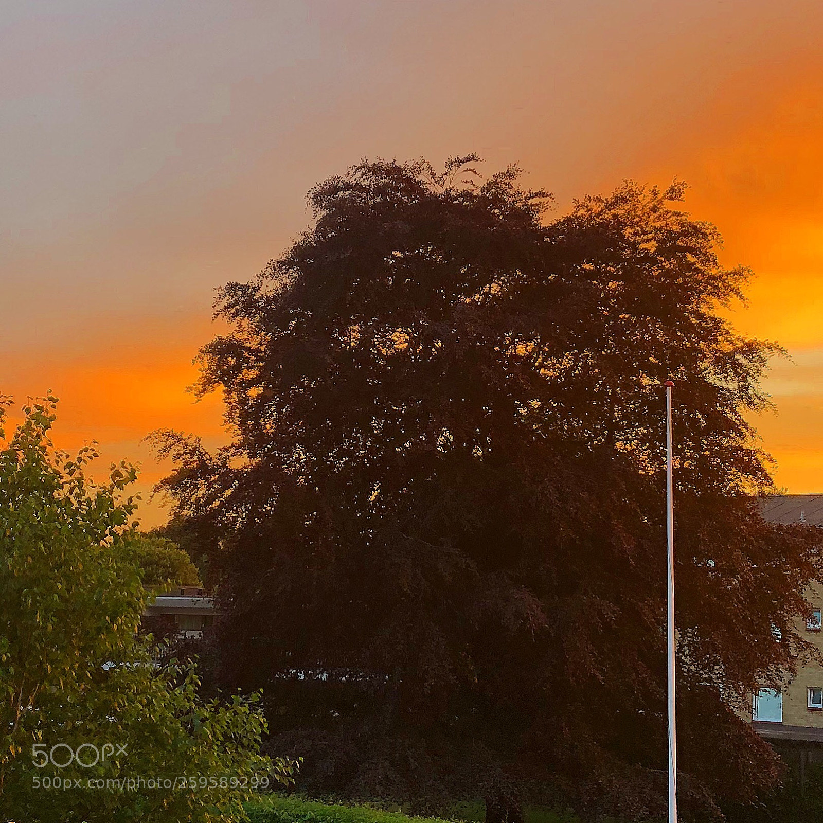 Apple iPhone 8 Plus sample photo. Lovely peaceful sunset photography