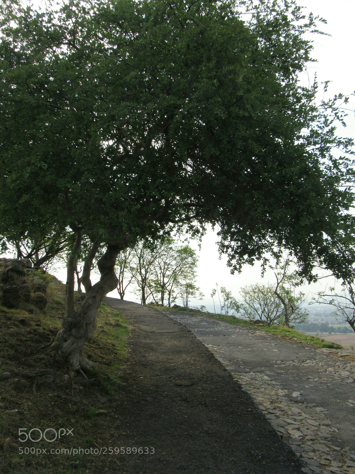 Canon PowerShot SX530 HS sample photo. Stone road photography