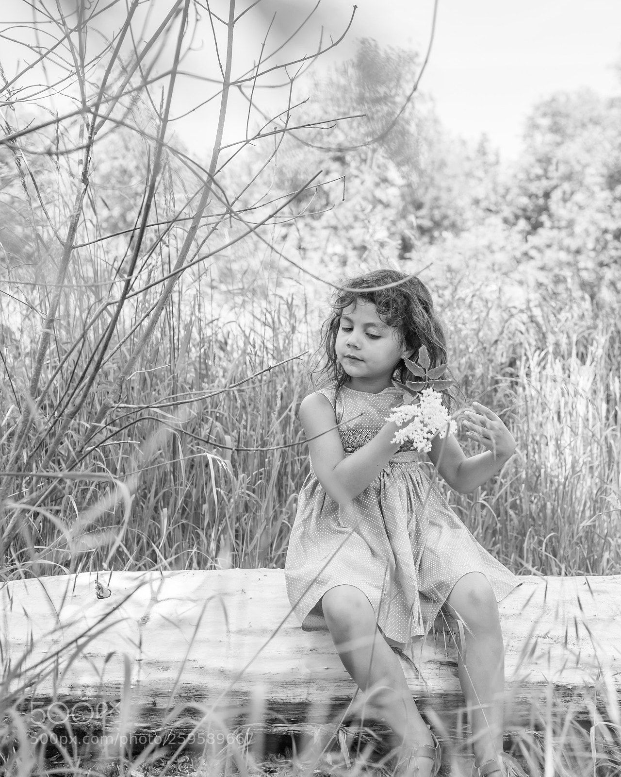 Canon EOS 6D Mark II sample photo. Untitled photography