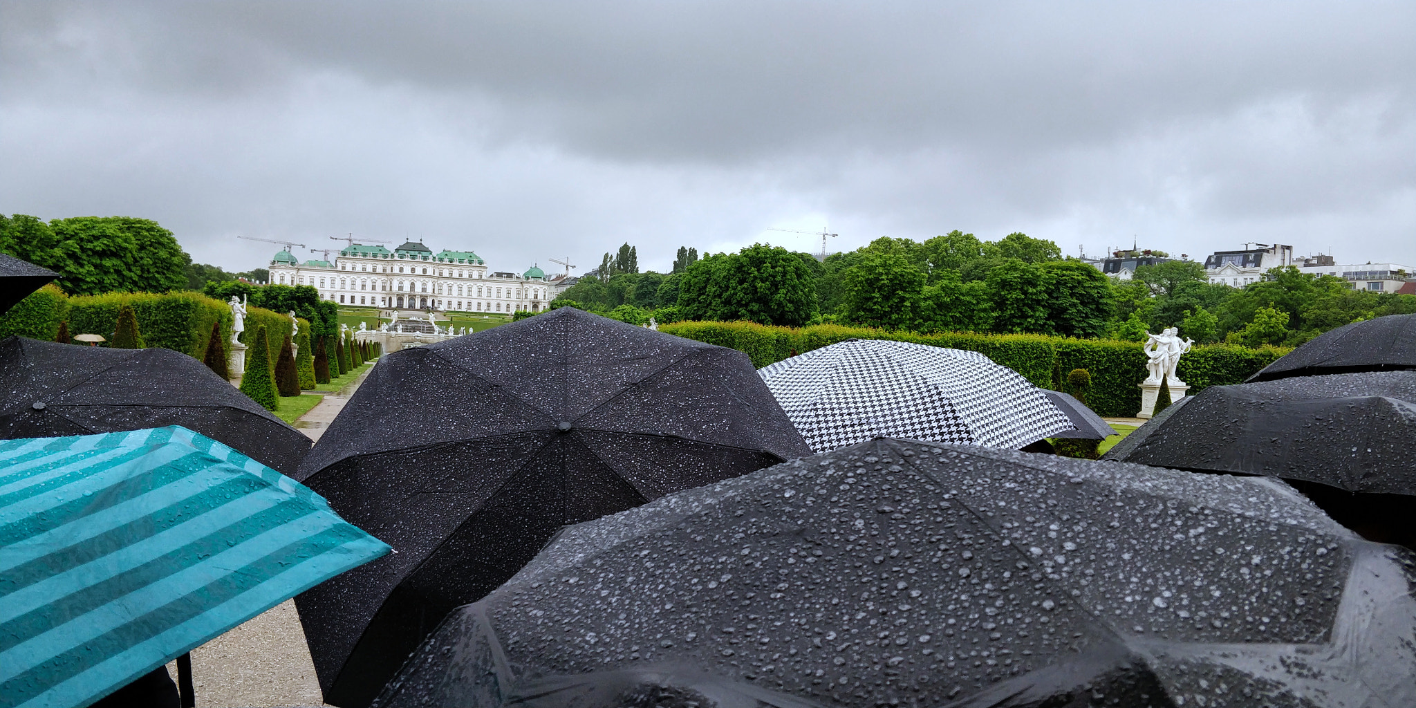 OnePlus 5T sample photo. Umbrella photography