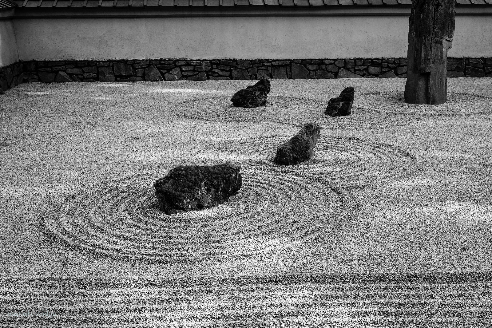 Canon EOS 600D (Rebel EOS T3i / EOS Kiss X5) sample photo. Challenge negative space: zenegativity. photography
