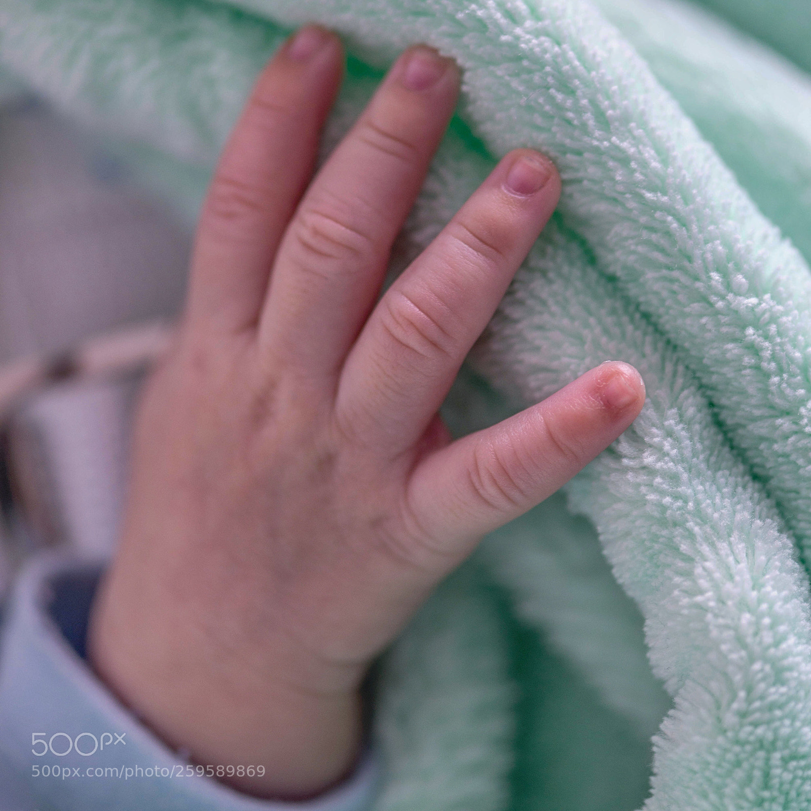 Nikon D610 sample photo. Untitled photography