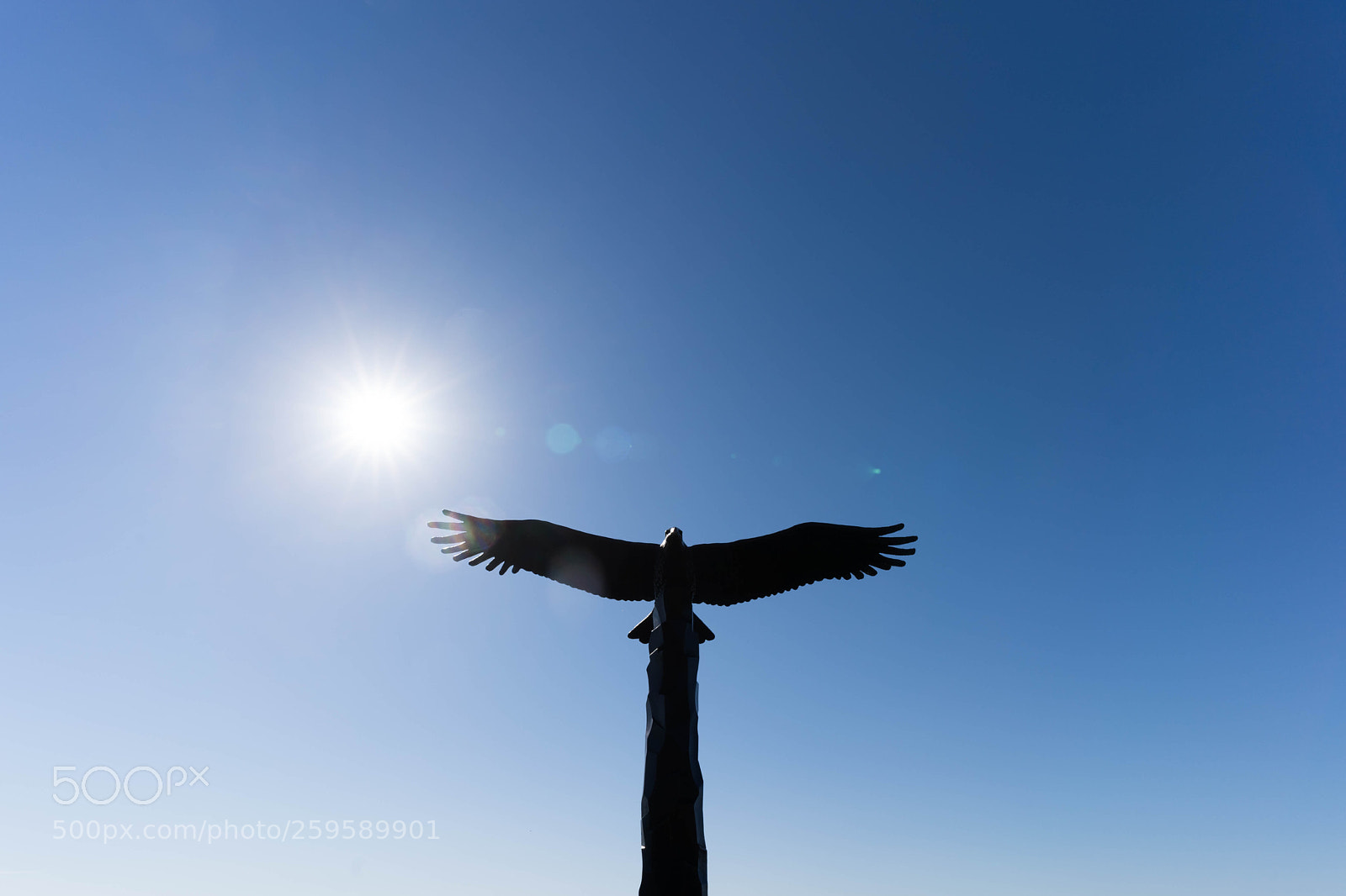 Sony a9 sample photo. Freedom flying photography