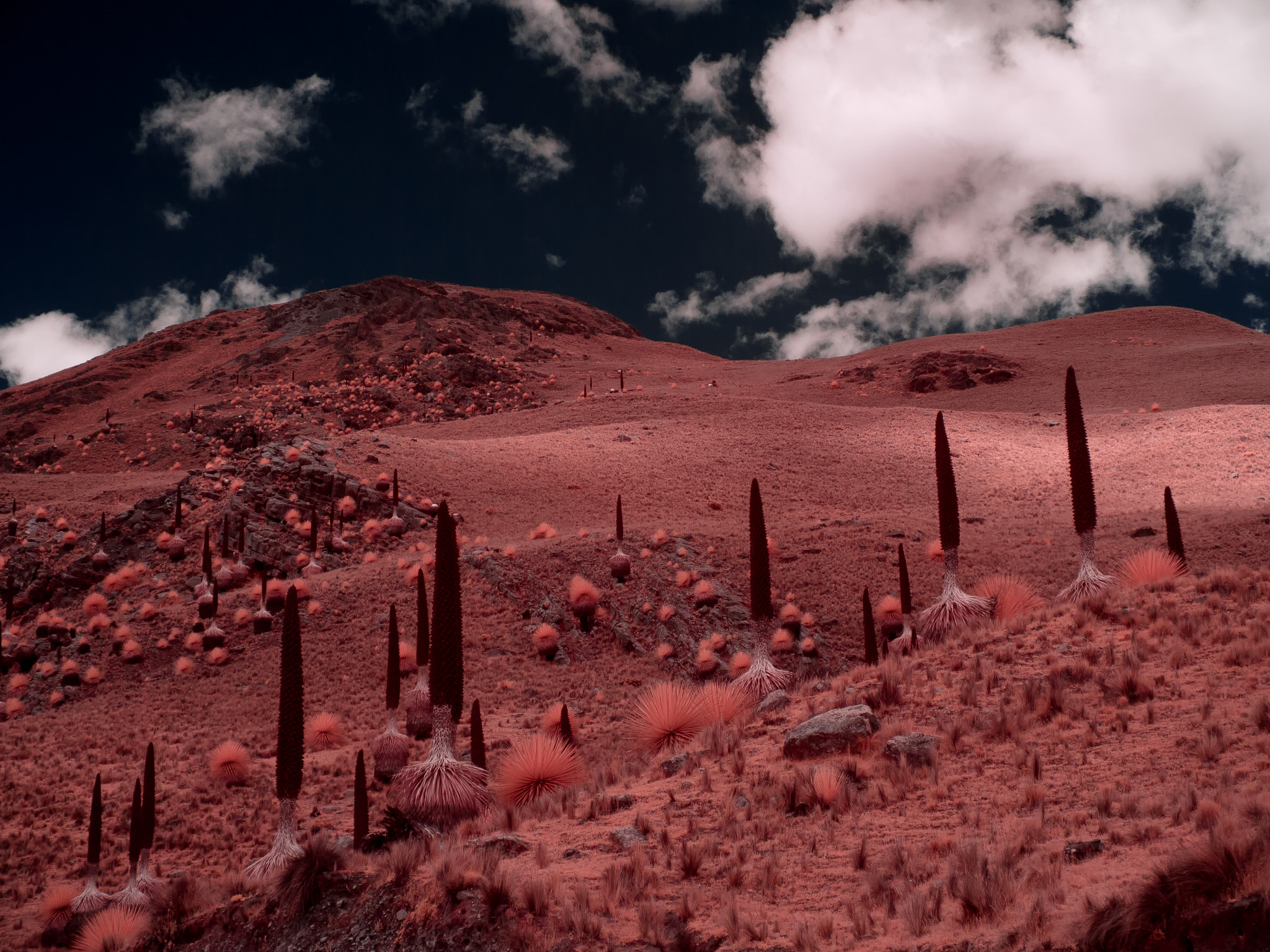 Panasonic Lumix DMC-GF3 sample photo. Pastoruri - infrared - peru photography