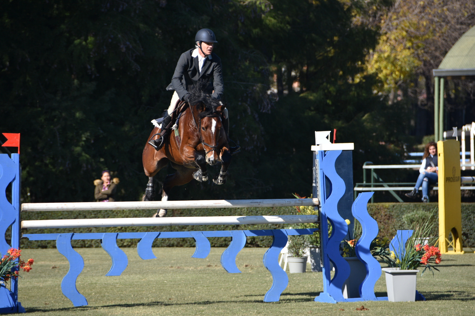 Nikon D7200 sample photo