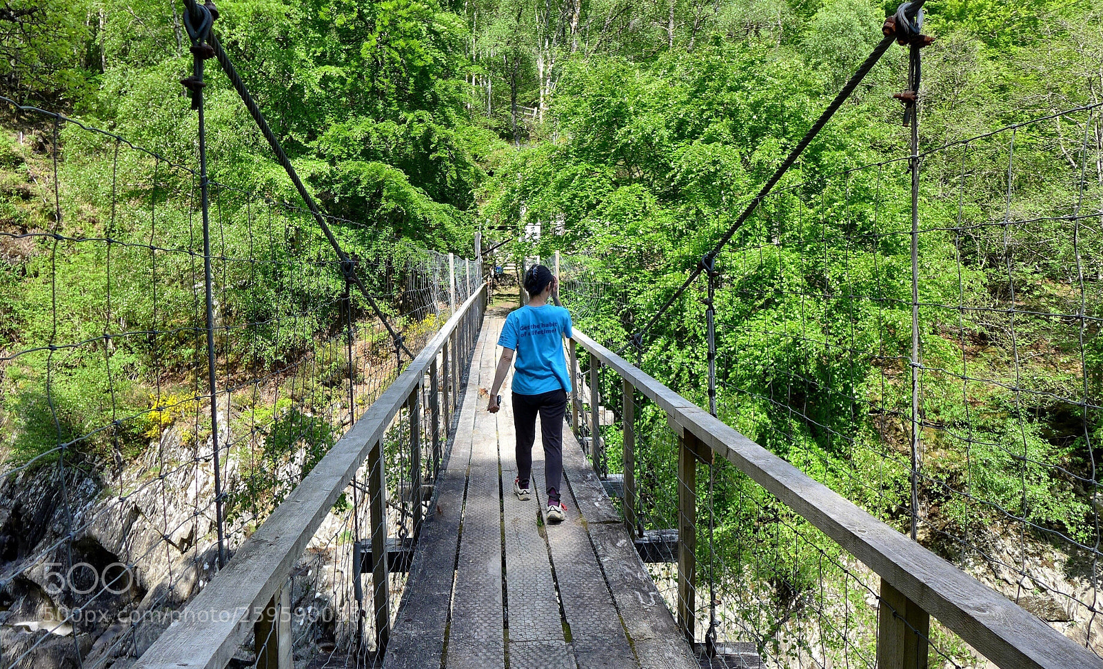 Panasonic Lumix DMC-LX7 sample photo. Highland jungle photography