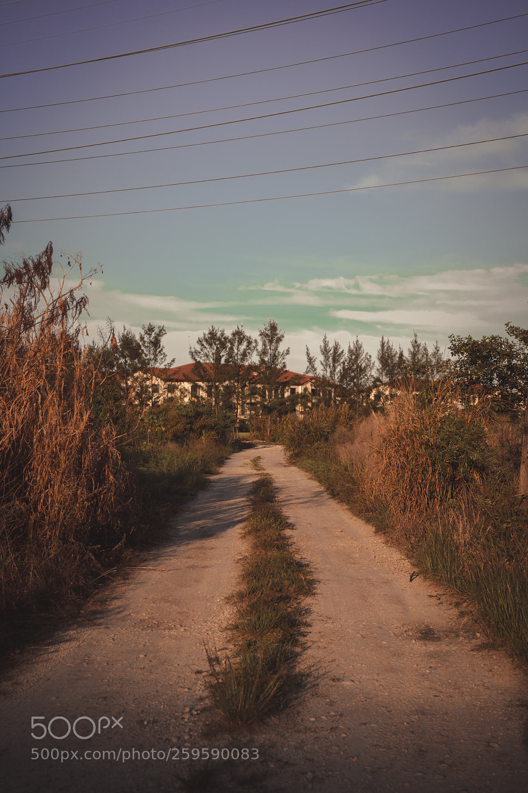 Sony a7 sample photo. Untitled photography