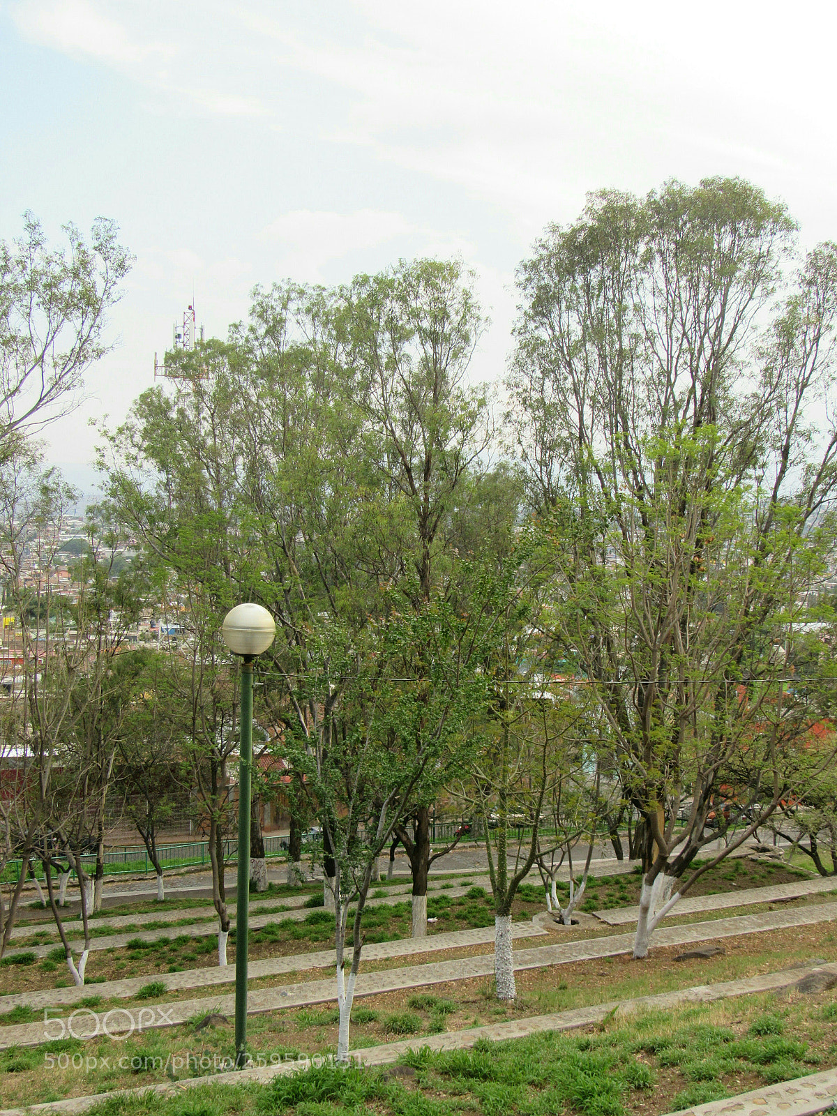 Canon PowerShot SX530 HS sample photo. Cerro de la reina photography