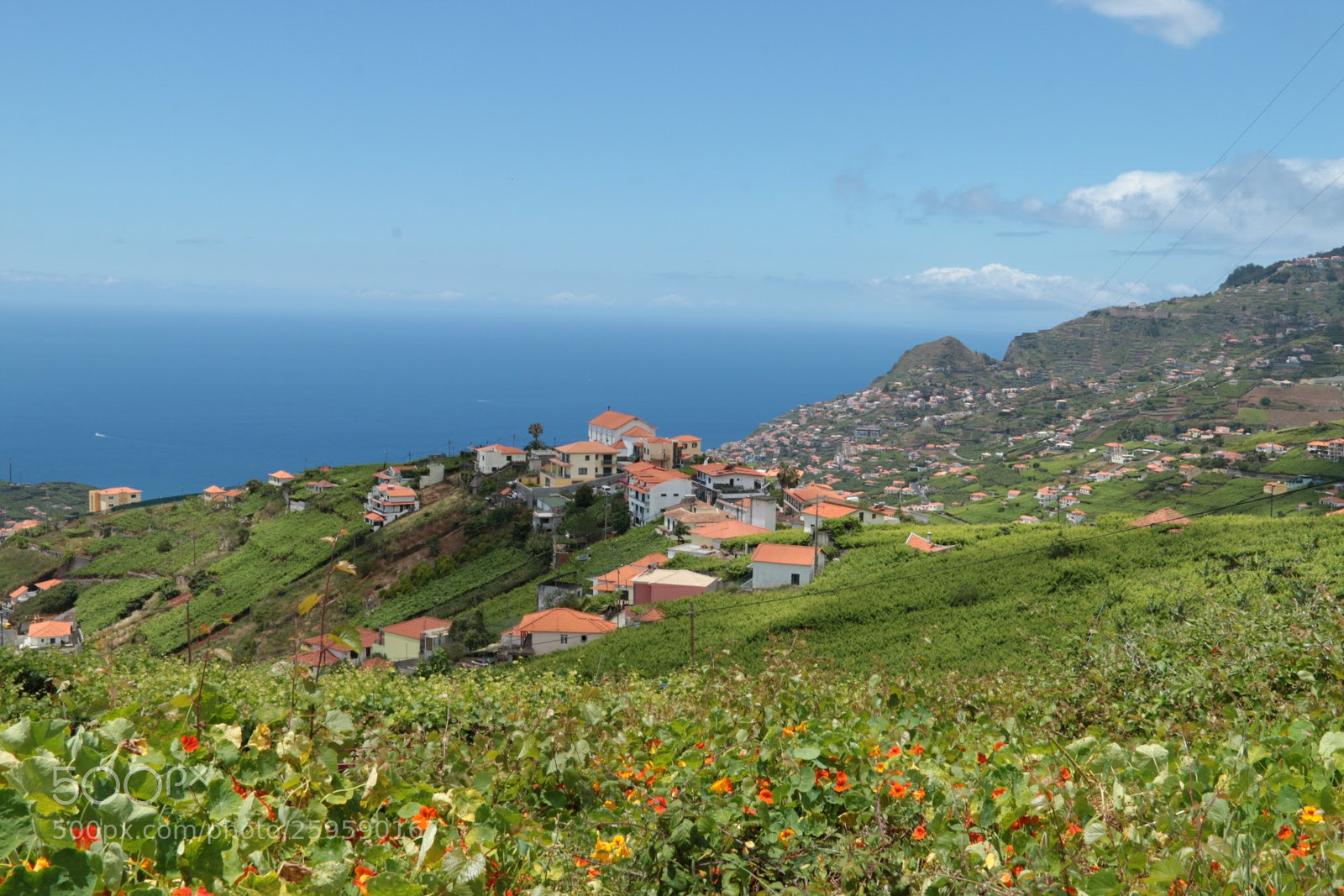 Canon EF-S 18-135mm F3.5-5.6 IS sample photo. Madeira photography