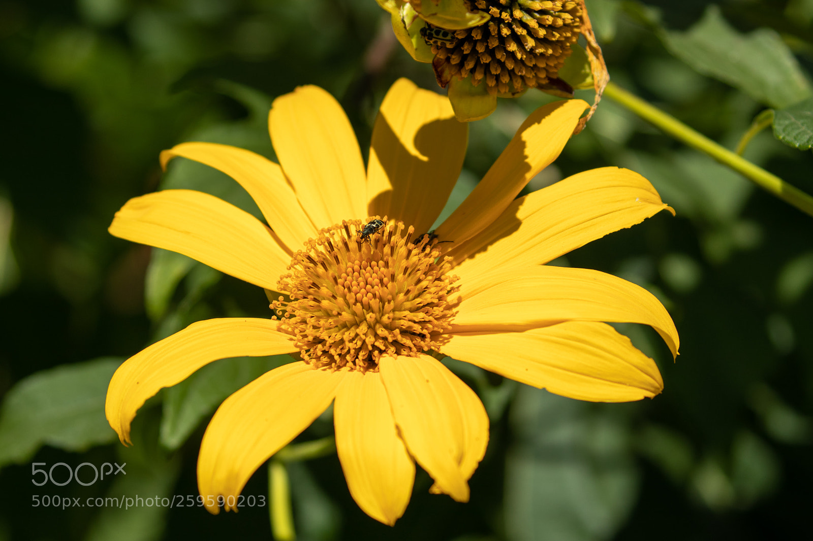 Canon EOS 80D sample photo. Img_0322-2.jpg photography