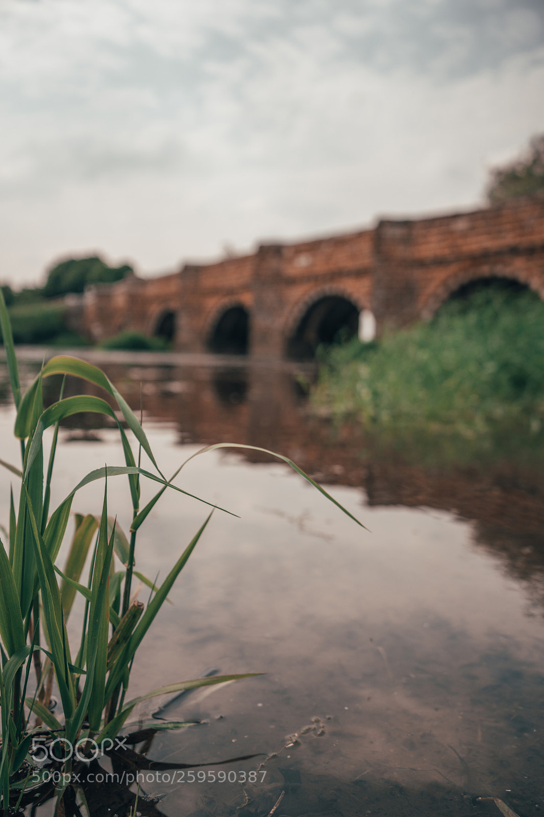 Sony a7 III sample photo. Whitemill bridge photography