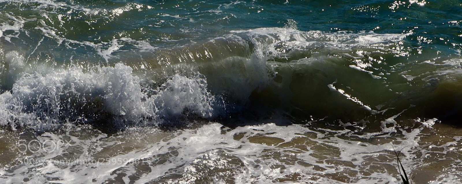 Olympus OM-D E-M10 sample photo. Rolling photography
