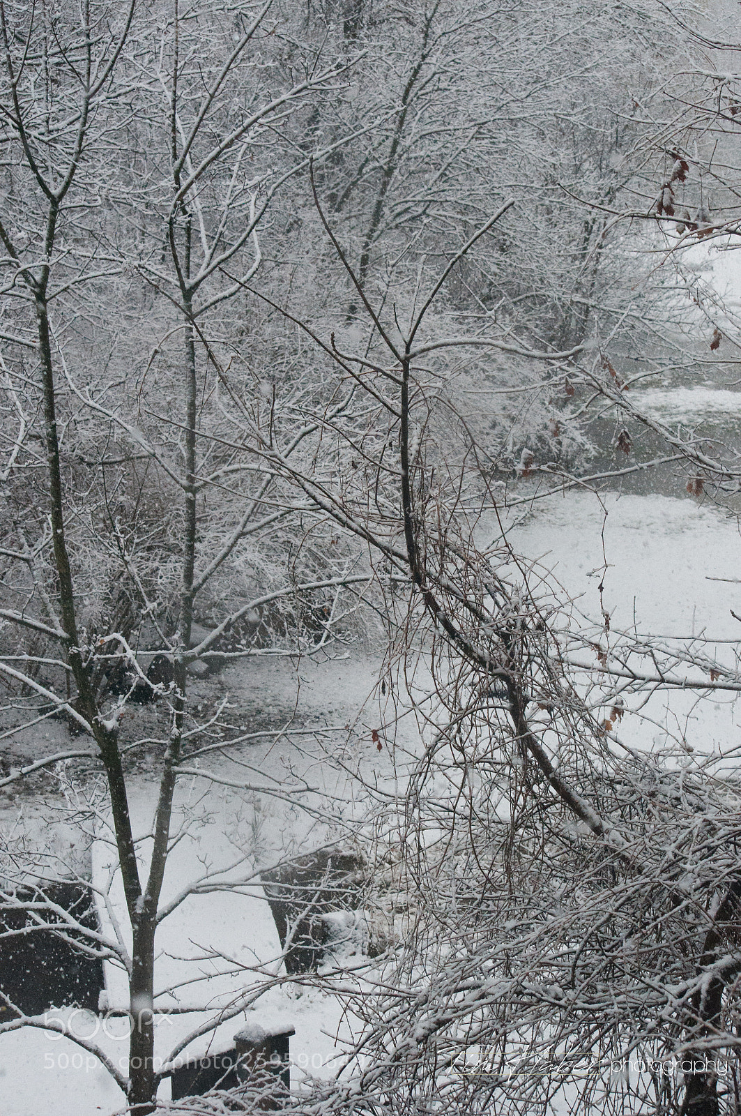 Nikon D90 sample photo. Fresh snow out back photography