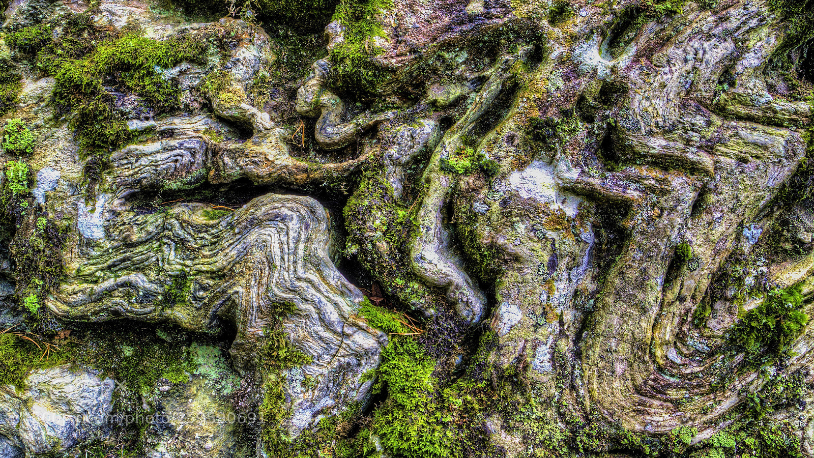Canon EOS 5D Mark II sample photo. Old stone photography