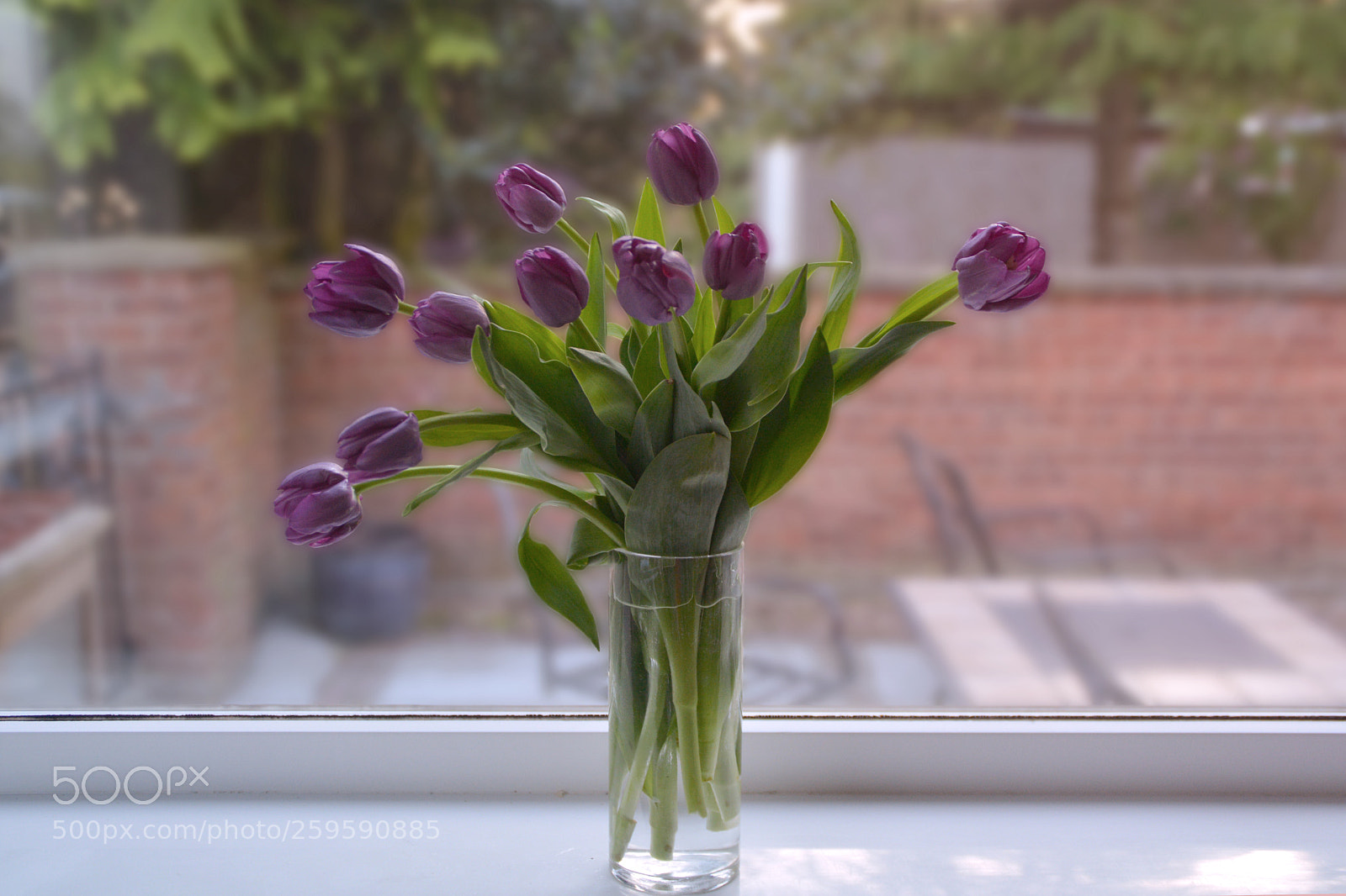 Nikon D5200 sample photo. Simple still life photography