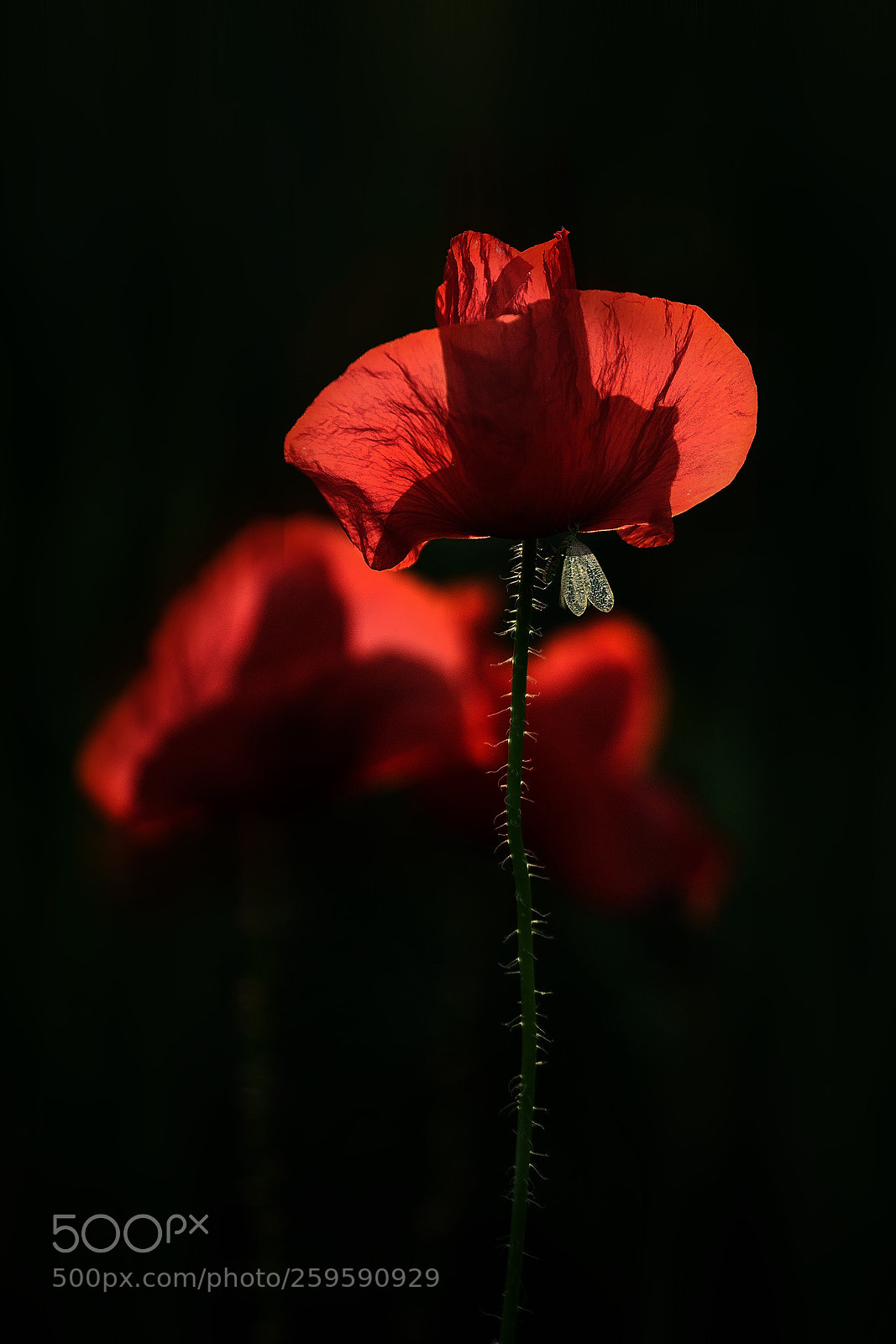 Canon EOS 60D sample photo. Angedockt photography