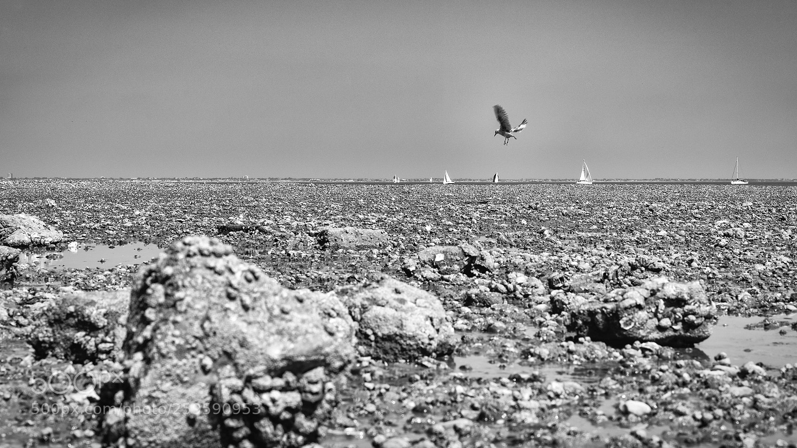 Nikon D750 sample photo. Hunting for a boat photography